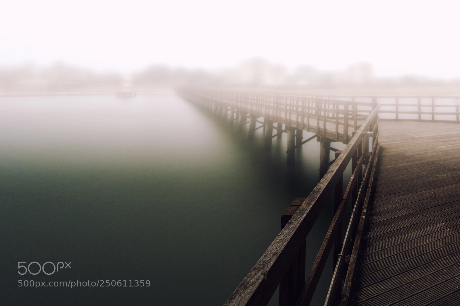 Nikon D500 sample photo. A mist makes things photography