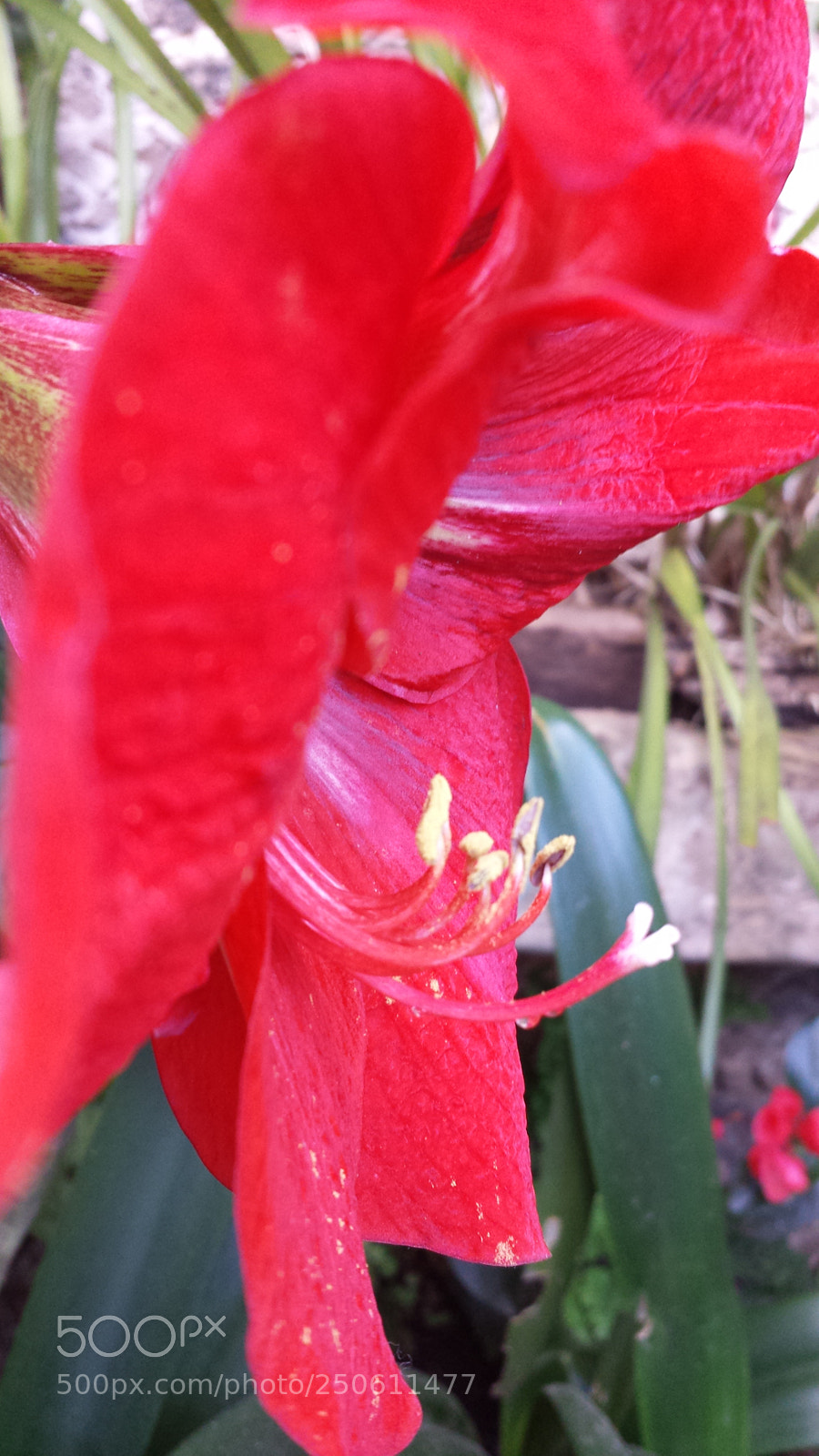 Samsung Galaxy S4 sample photo. Untitled photography