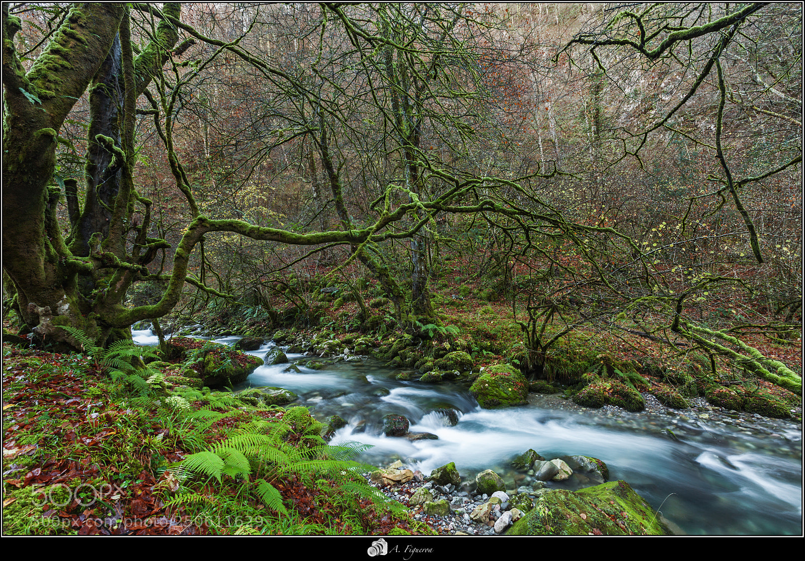 Canon EOS 5D Mark II sample photo. Rio infierno photography