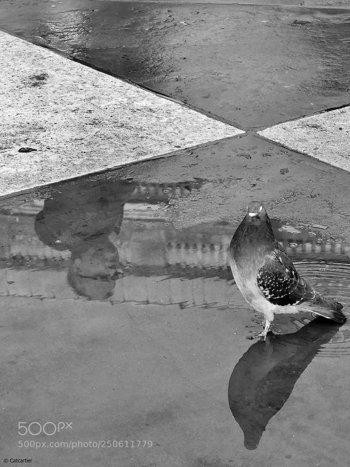 Panasonic Lumix DMC-LX100 sample photo. Ombres et reflets photography