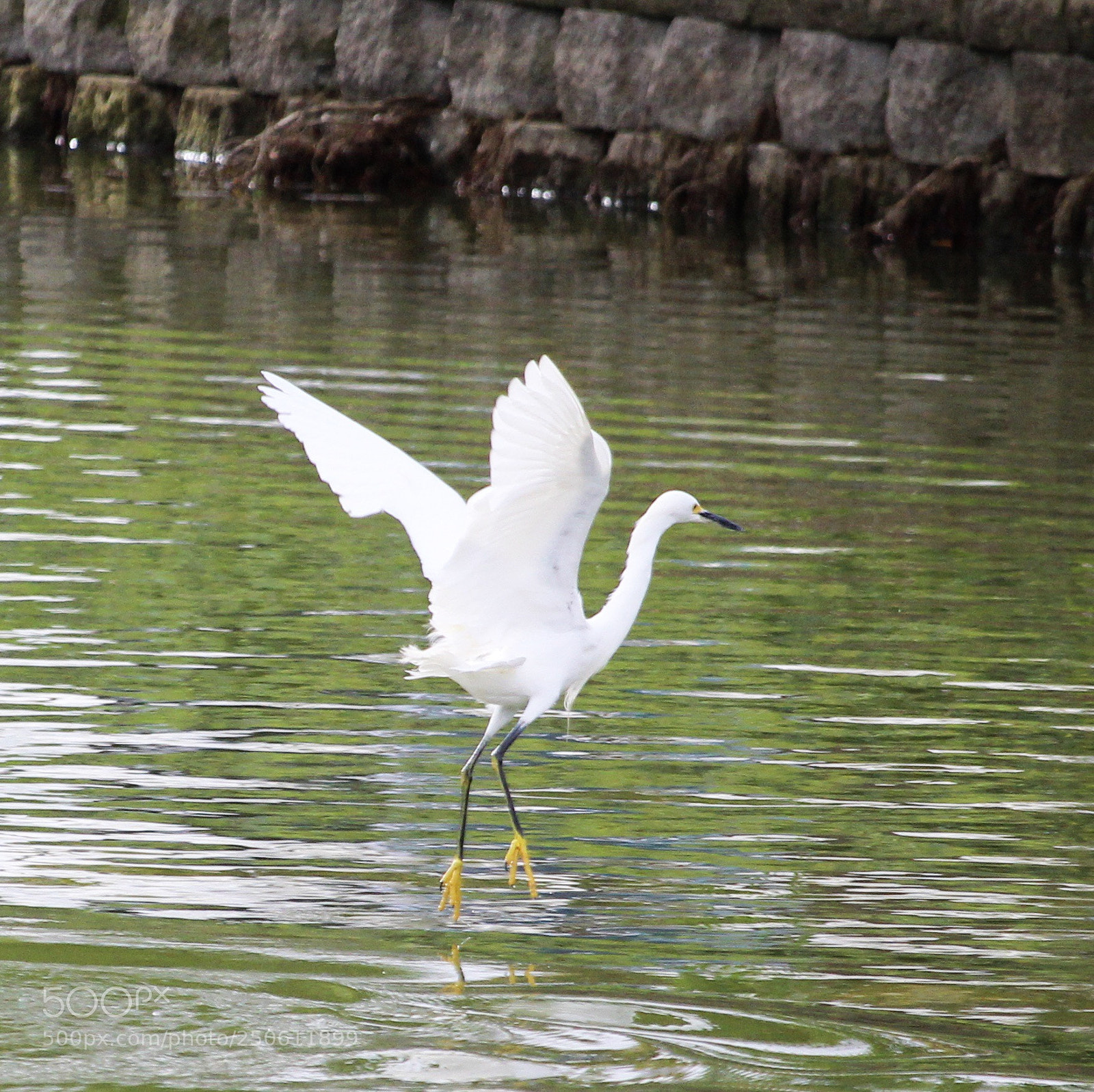Canon EOS 700D (EOS Rebel T5i / EOS Kiss X7i) sample photo. Walk on the water photography