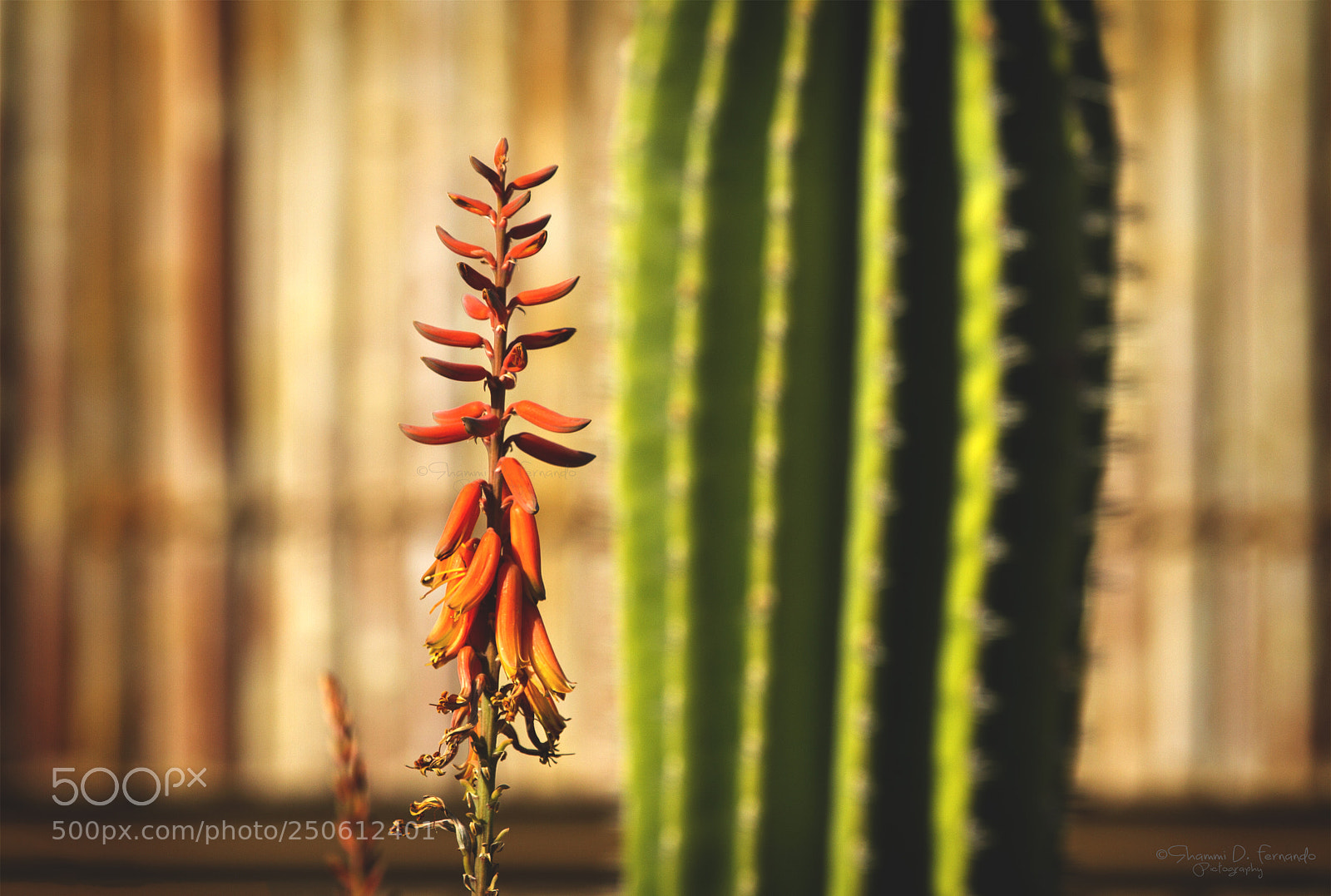 Canon EOS 7D sample photo. Worlds apart photography
