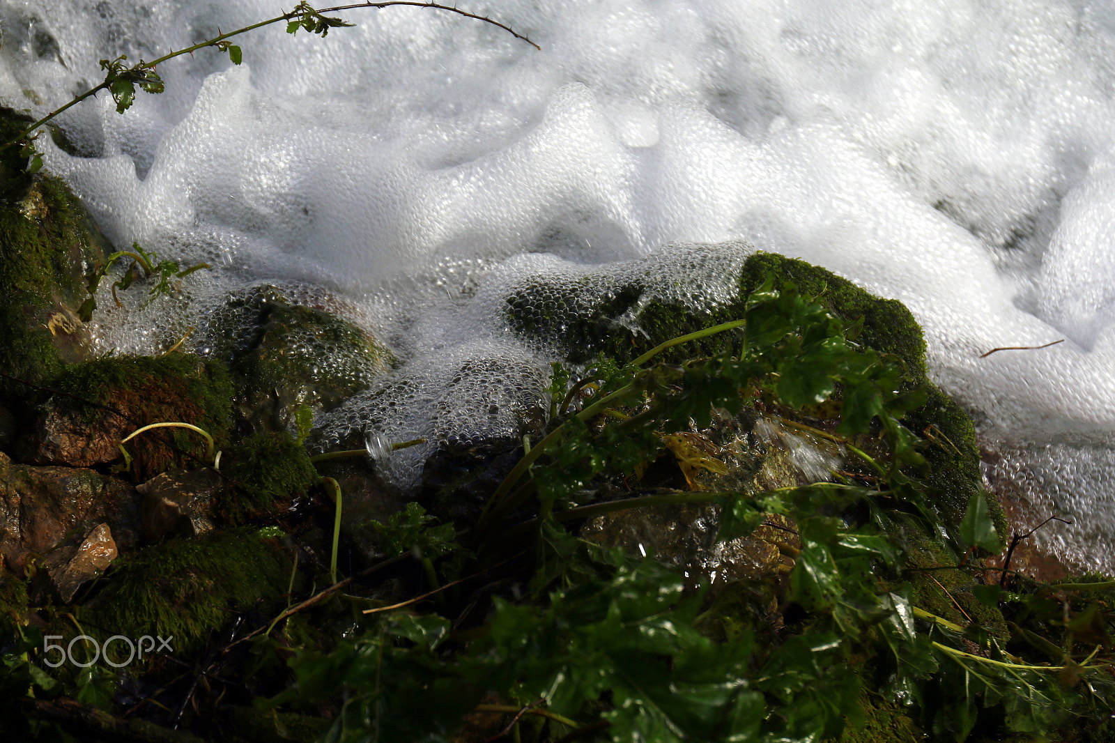 Canon EF 24-70mm F4L IS USM sample photo. Bubbles photography