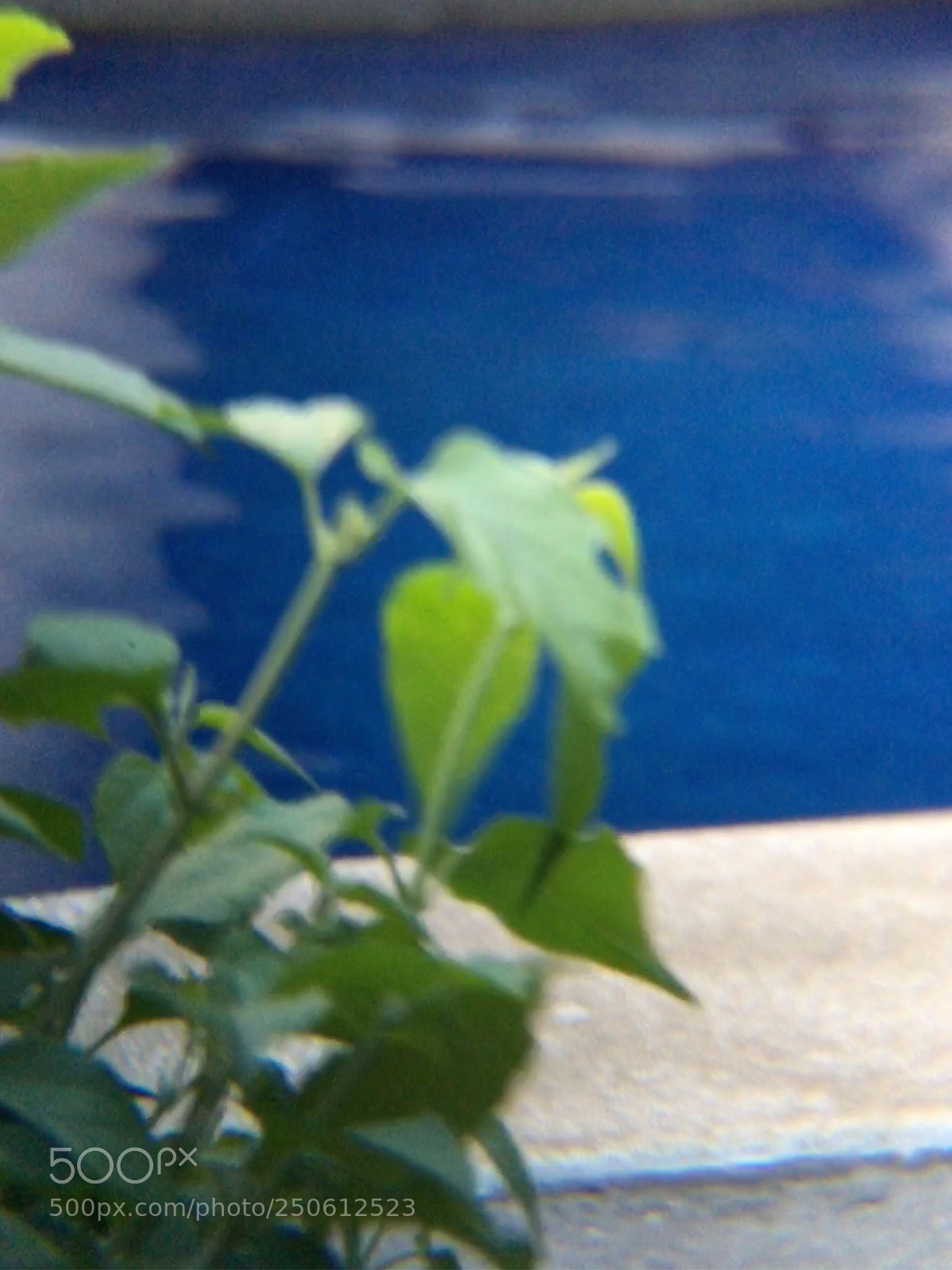 Apple iPhone 6s sample photo. Poolside in costa rica photography