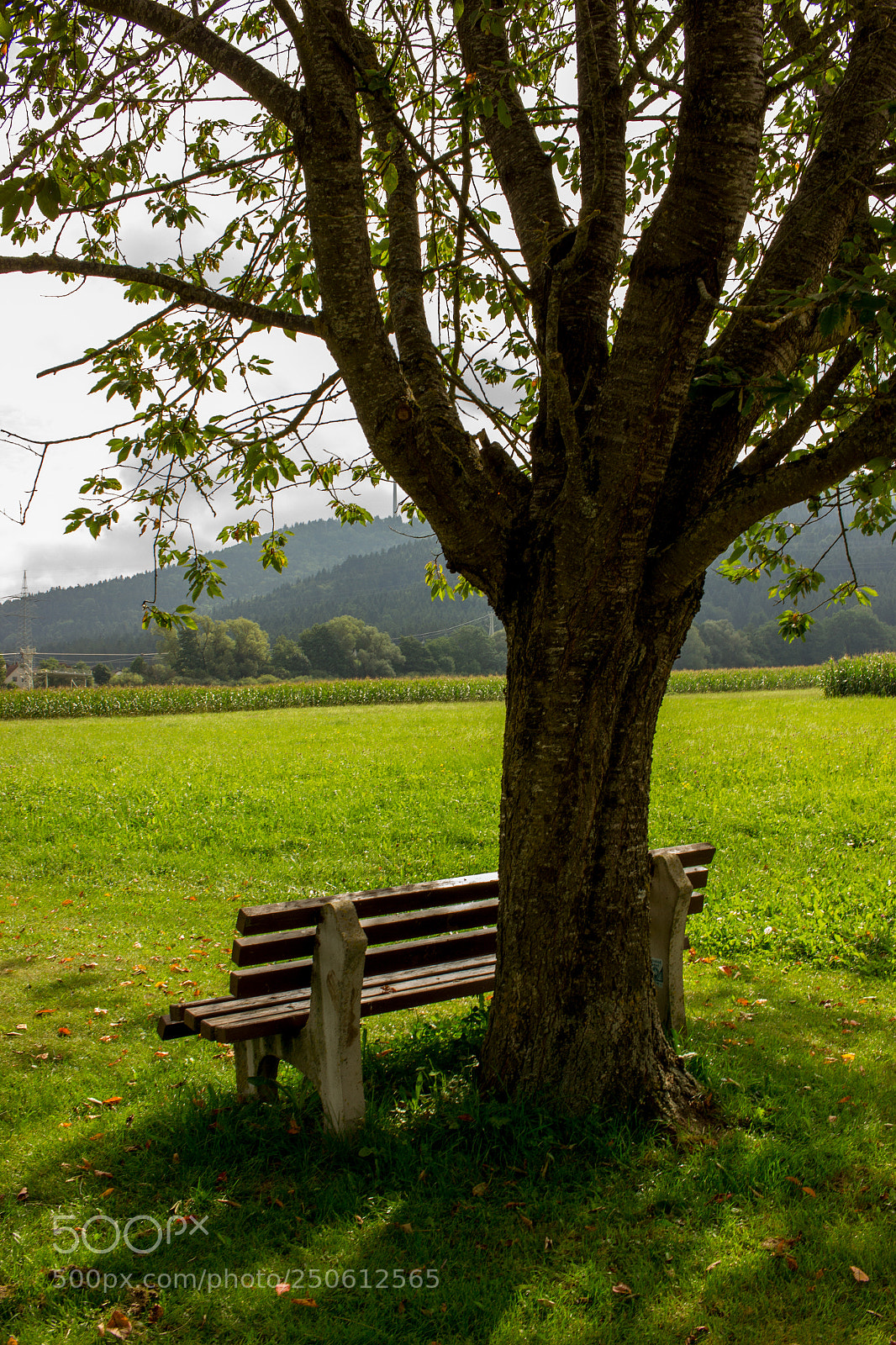 Canon EOS 550D (EOS Rebel T2i / EOS Kiss X4) sample photo. Cdac o photography