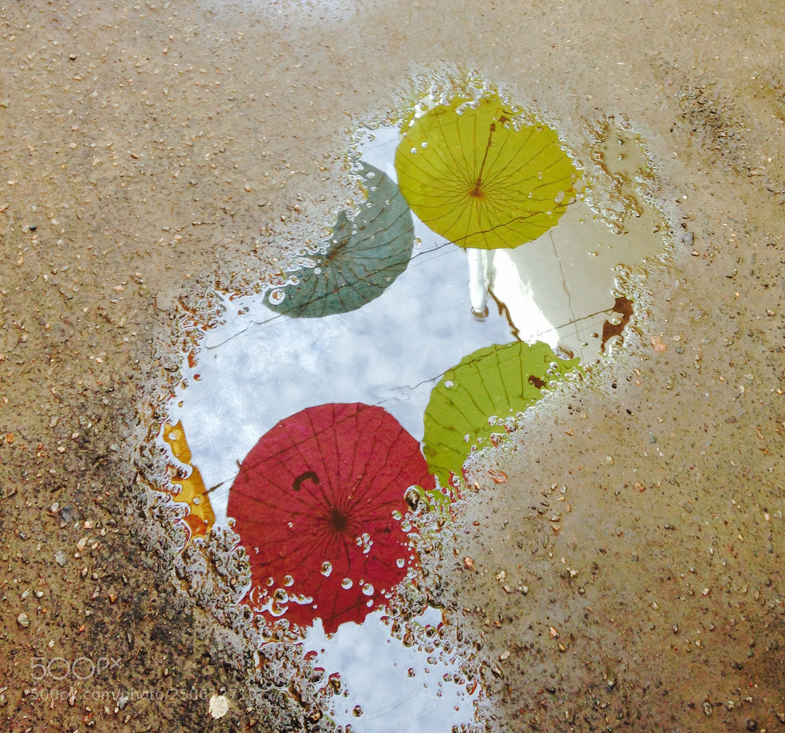 Apple iPhone 5c sample photo. Untitled photography