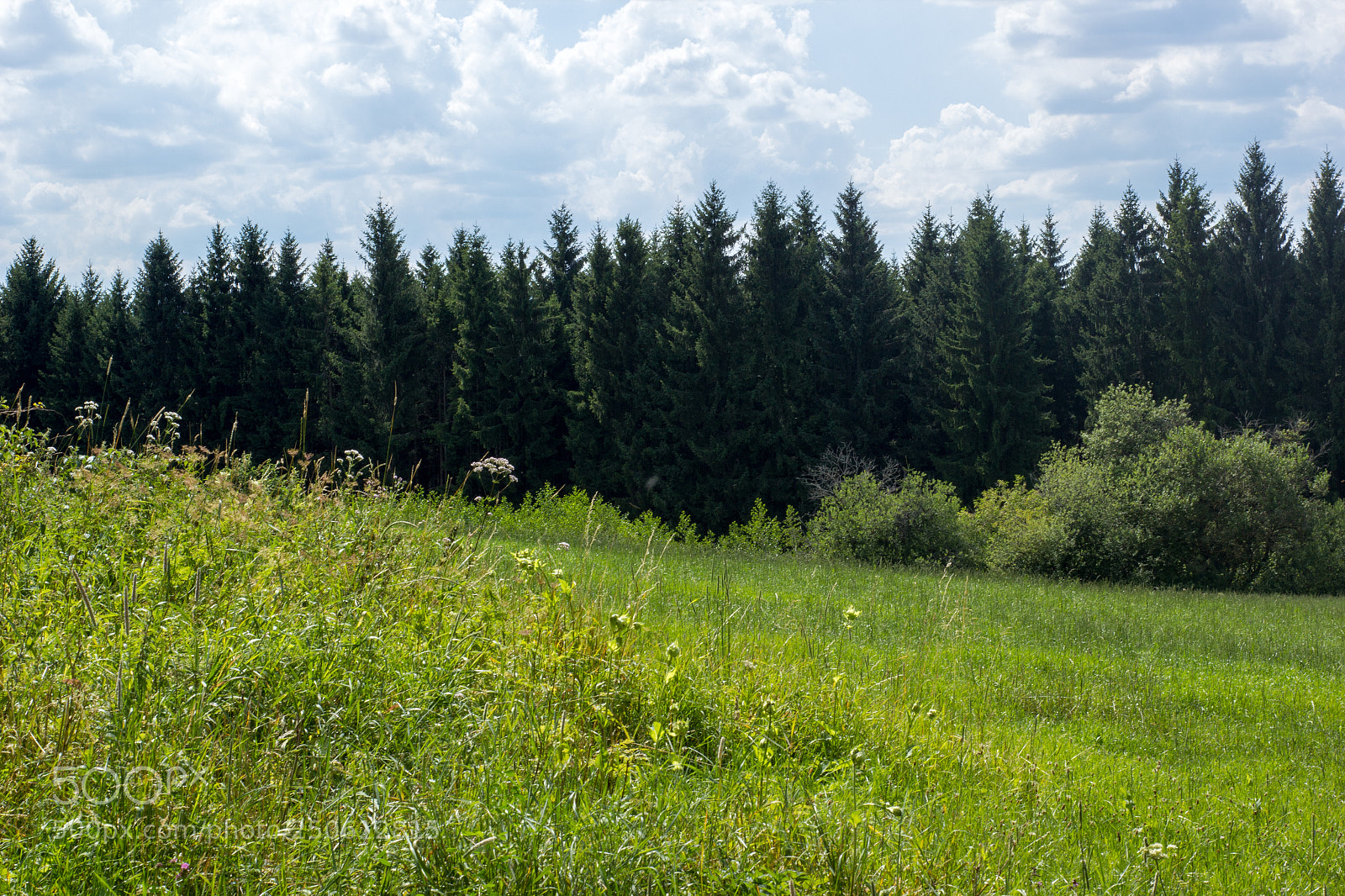 Canon EOS 550D (EOS Rebel T2i / EOS Kiss X4) sample photo. Befdedco photography