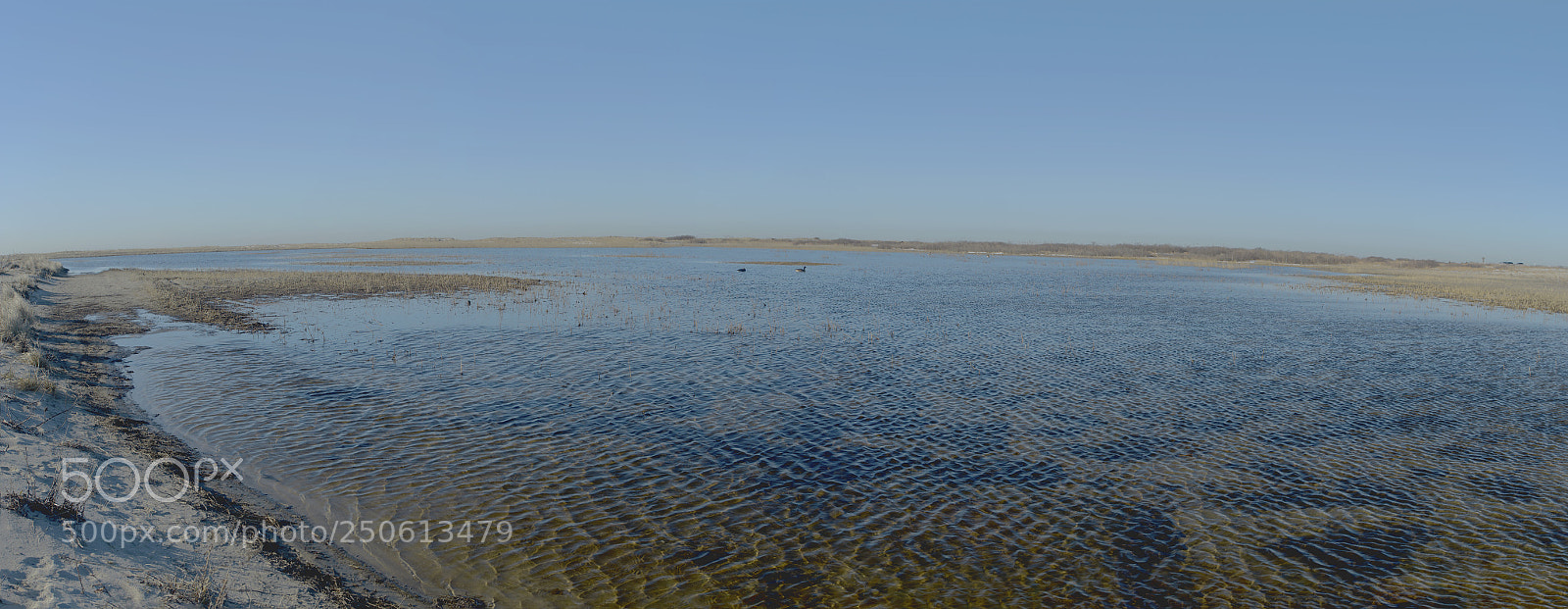 Canon EOS 6D Mark II sample photo. Tidal pool panorama jones photography