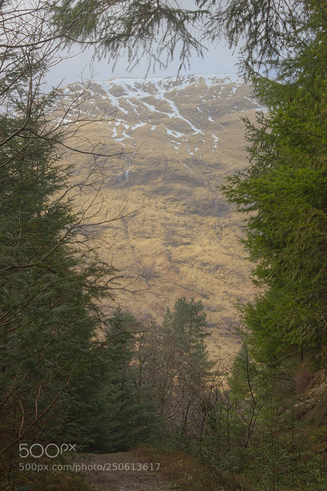 Canon EOS 700D (EOS Rebel T5i / EOS Kiss X7i) sample photo. Glencoe mountain through trees photography