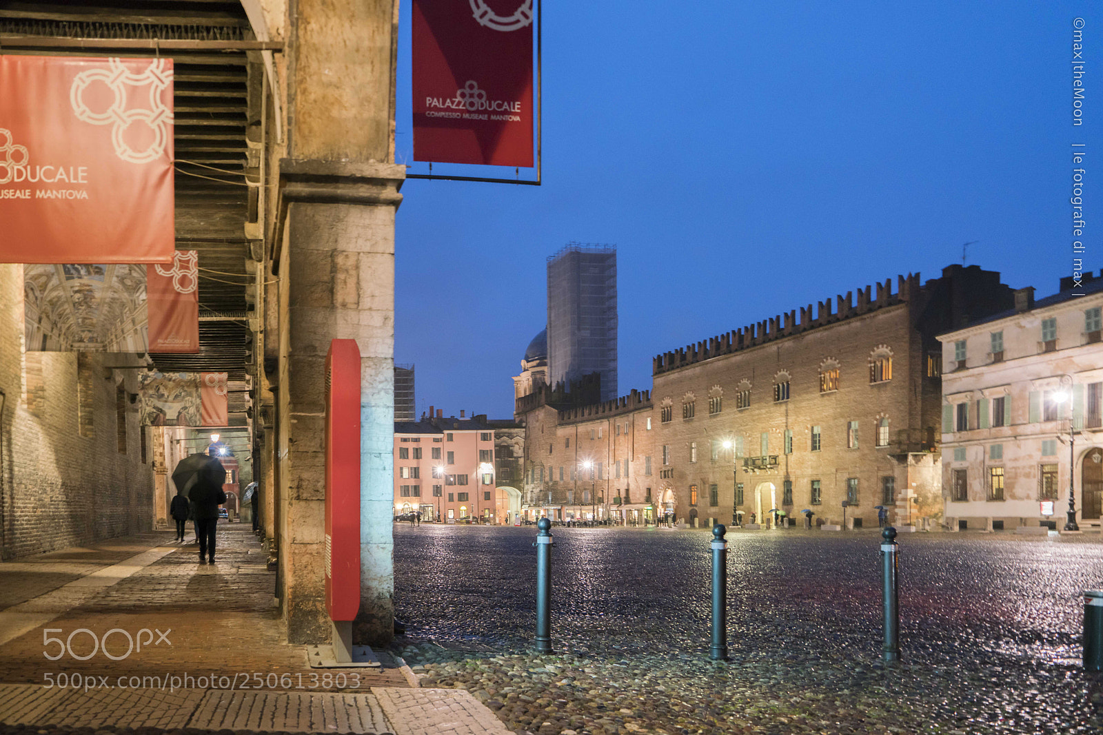 Sony a7R II sample photo. Mantova wet photography