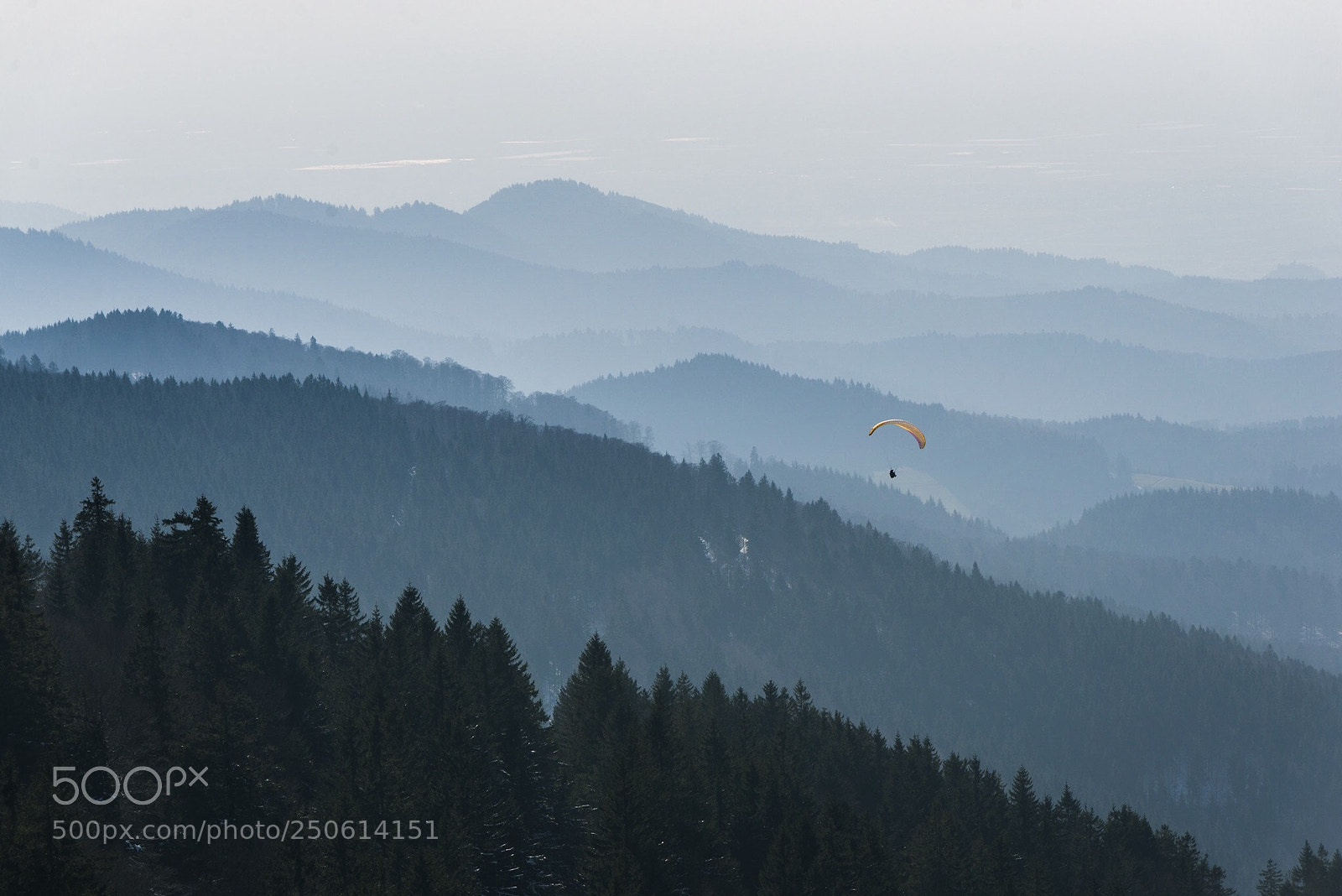 Nikon D600 sample photo. Flying above schwarzwald photography