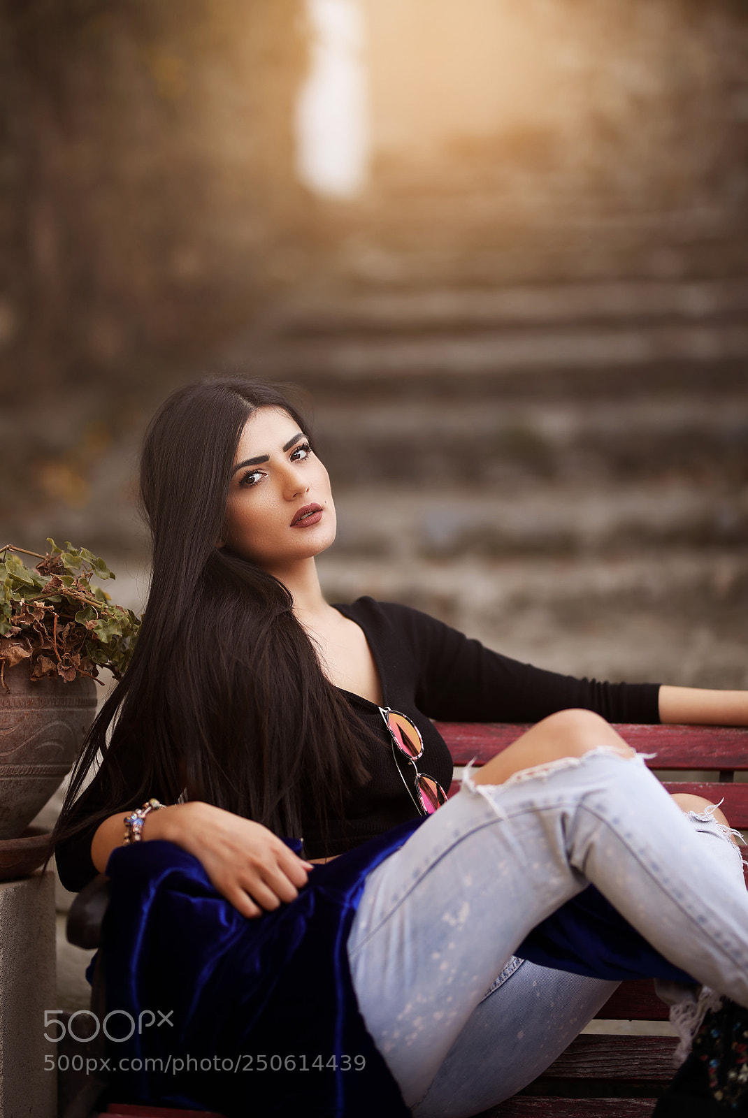 Canon EOS 5D Mark IV sample photo. Copy photography