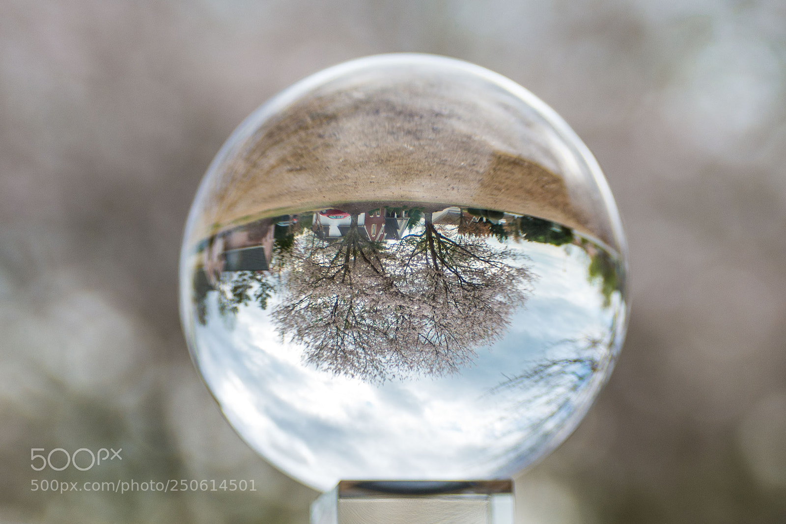 Nikon D610 sample photo. Playtime with a photography photography