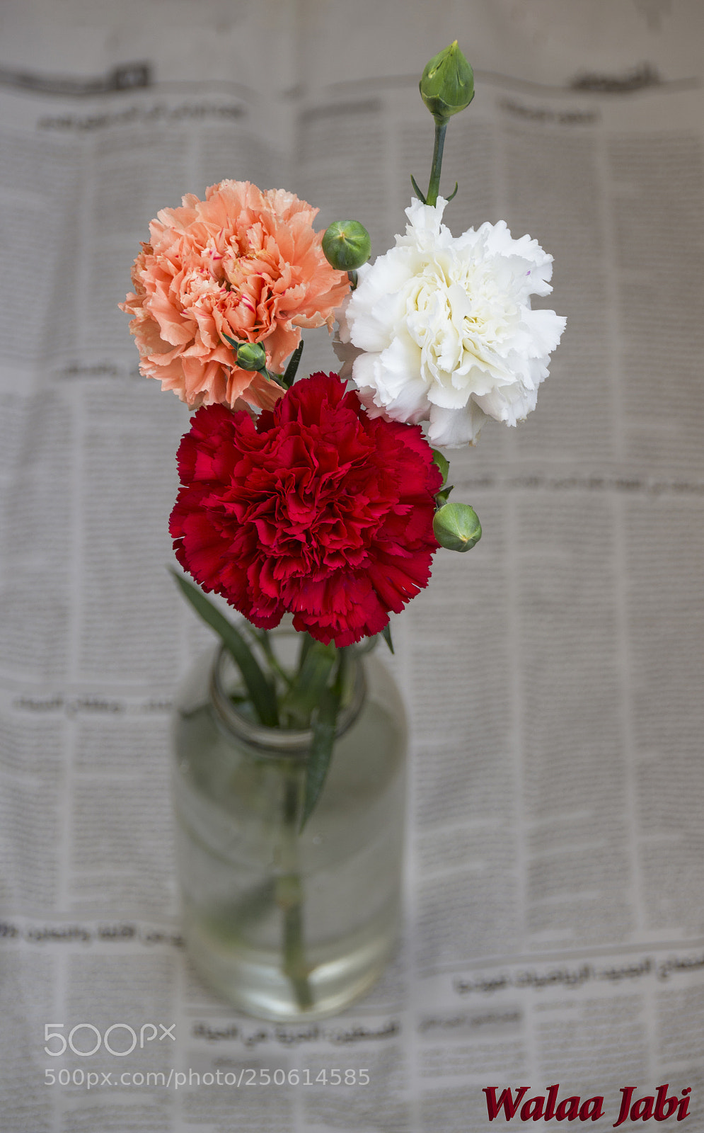 Canon EOS 700D (EOS Rebel T5i / EOS Kiss X7i) sample photo. Untitled photography
