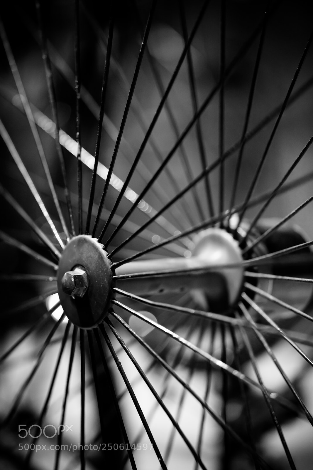 Sony a7 II sample photo. Dsc photography