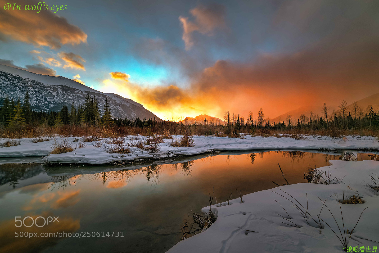 Nikon D810 sample photo. Morning light, canada photography