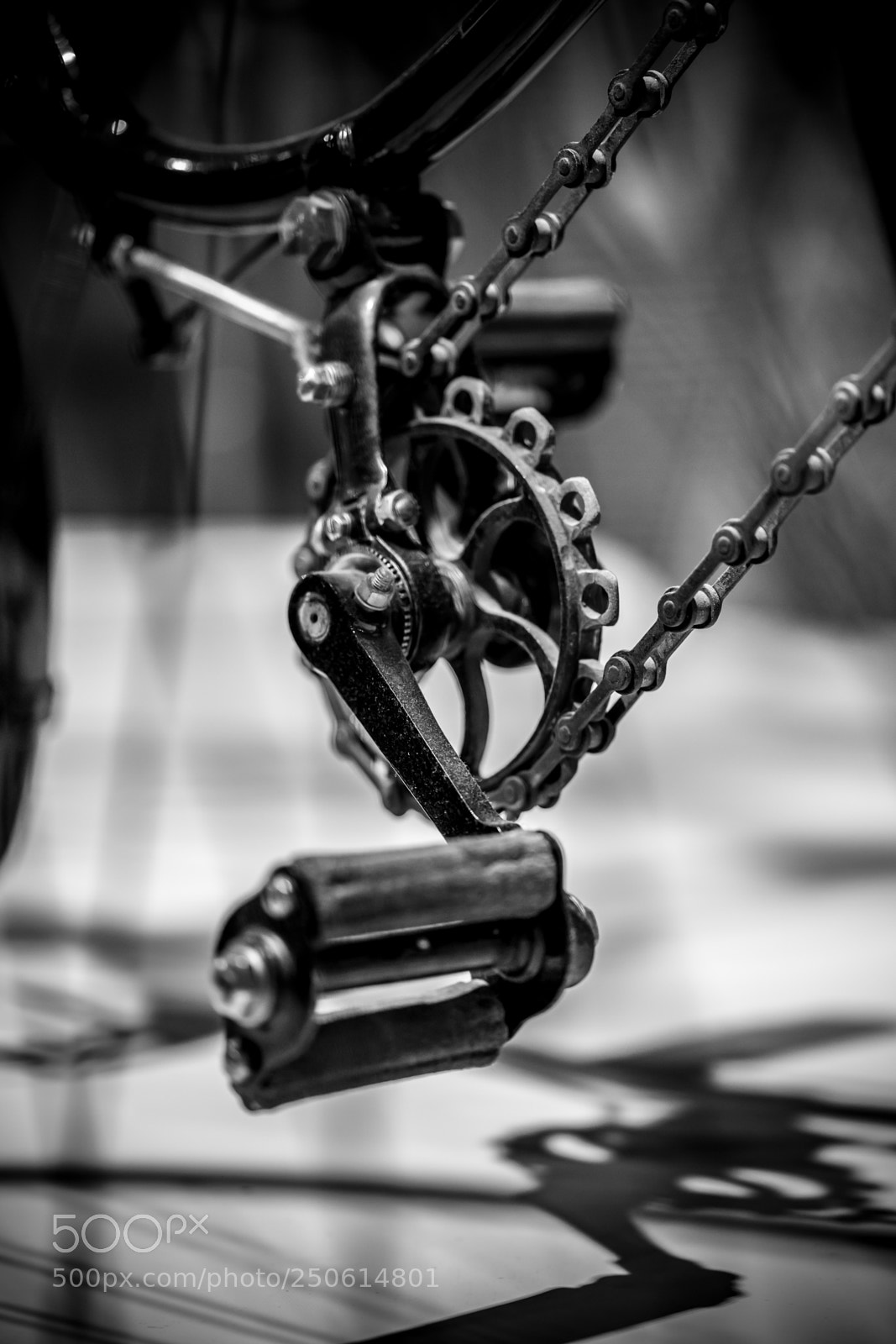 Sony a7 II sample photo. Dsc photography