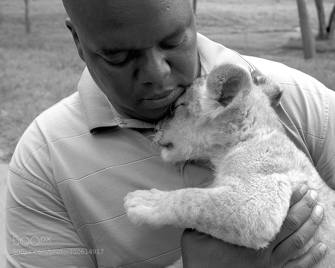 Canon EOS 350D (EOS Digital Rebel XT / EOS Kiss Digital N) sample photo. Black man white lion photography