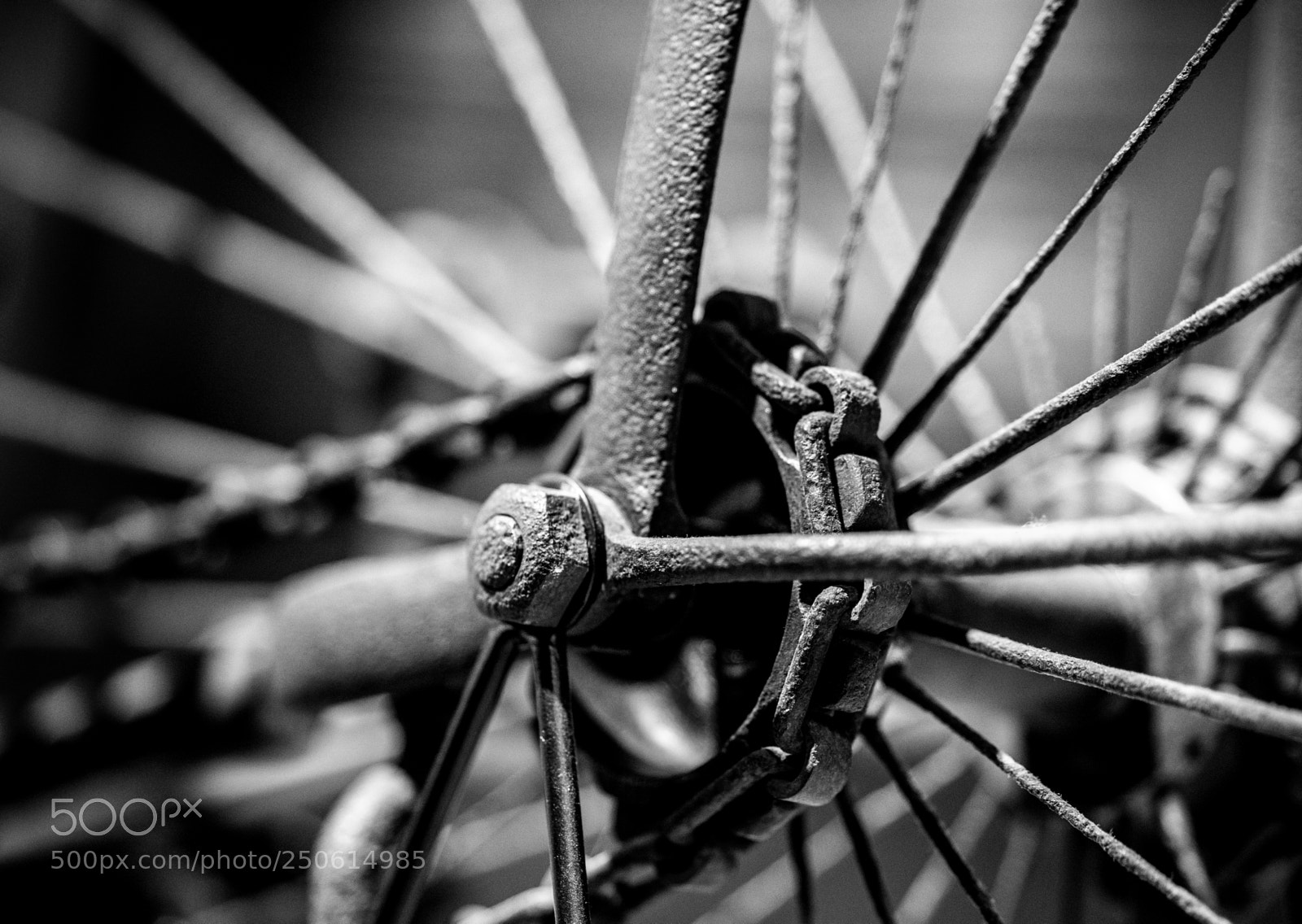 Sony a7 II sample photo. Dsc photography