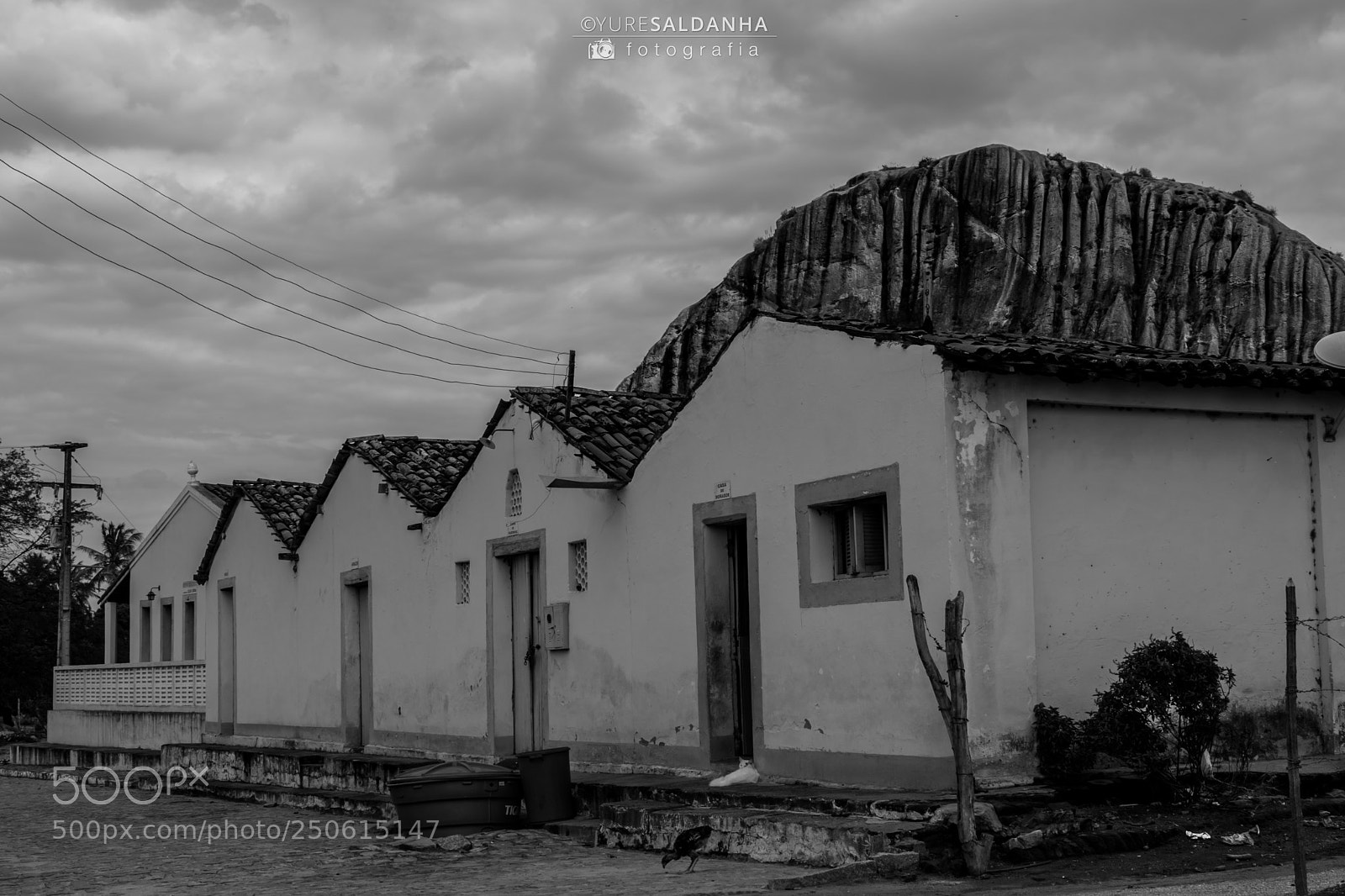 Nikon D5300 sample photo. Fazenda calabou o calabou photography