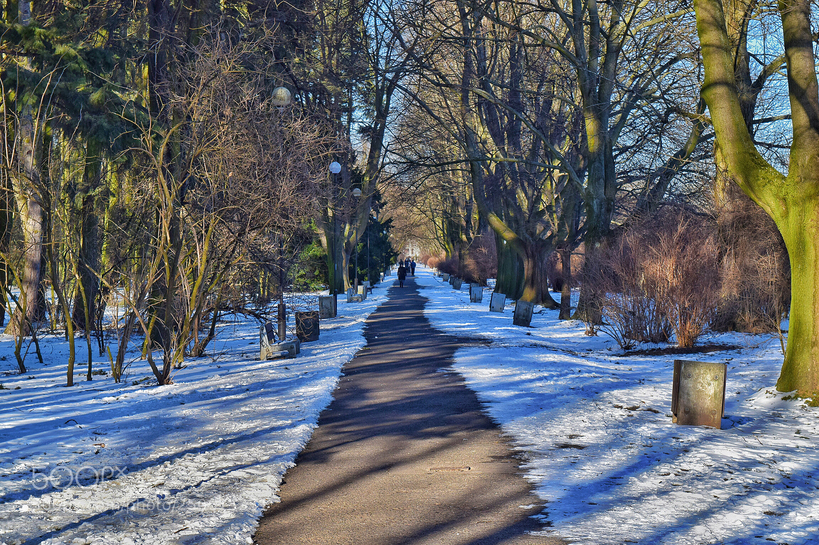 Nikon D5300 sample photo. Early spring in warsaw photography