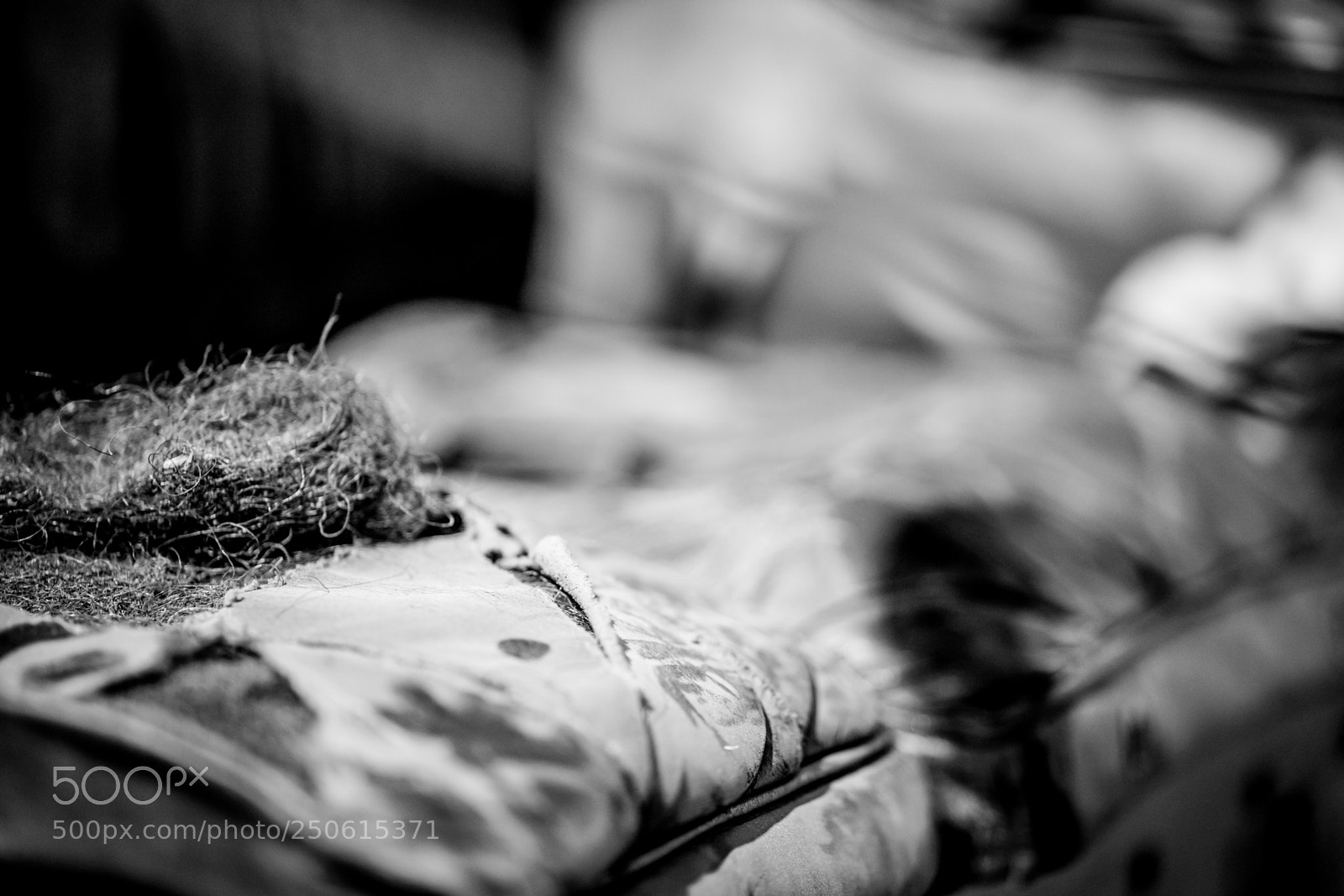 Sony a7 II sample photo. Dsc photography