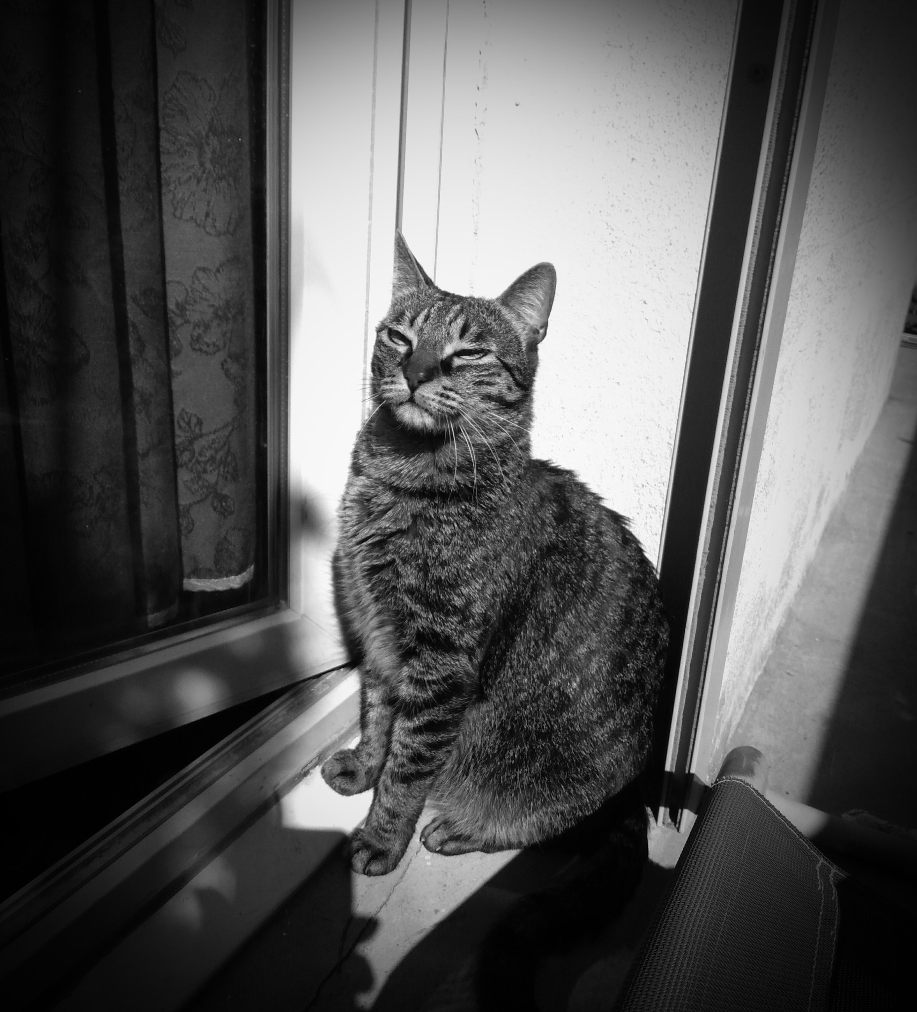 ASUS ZenFone 3 Max (ZC553KL) sample photo. The lord photography