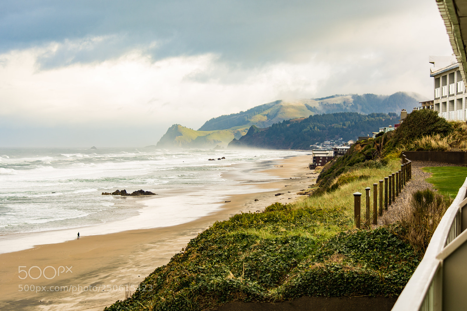 Nikon D7100 sample photo. Coho photography