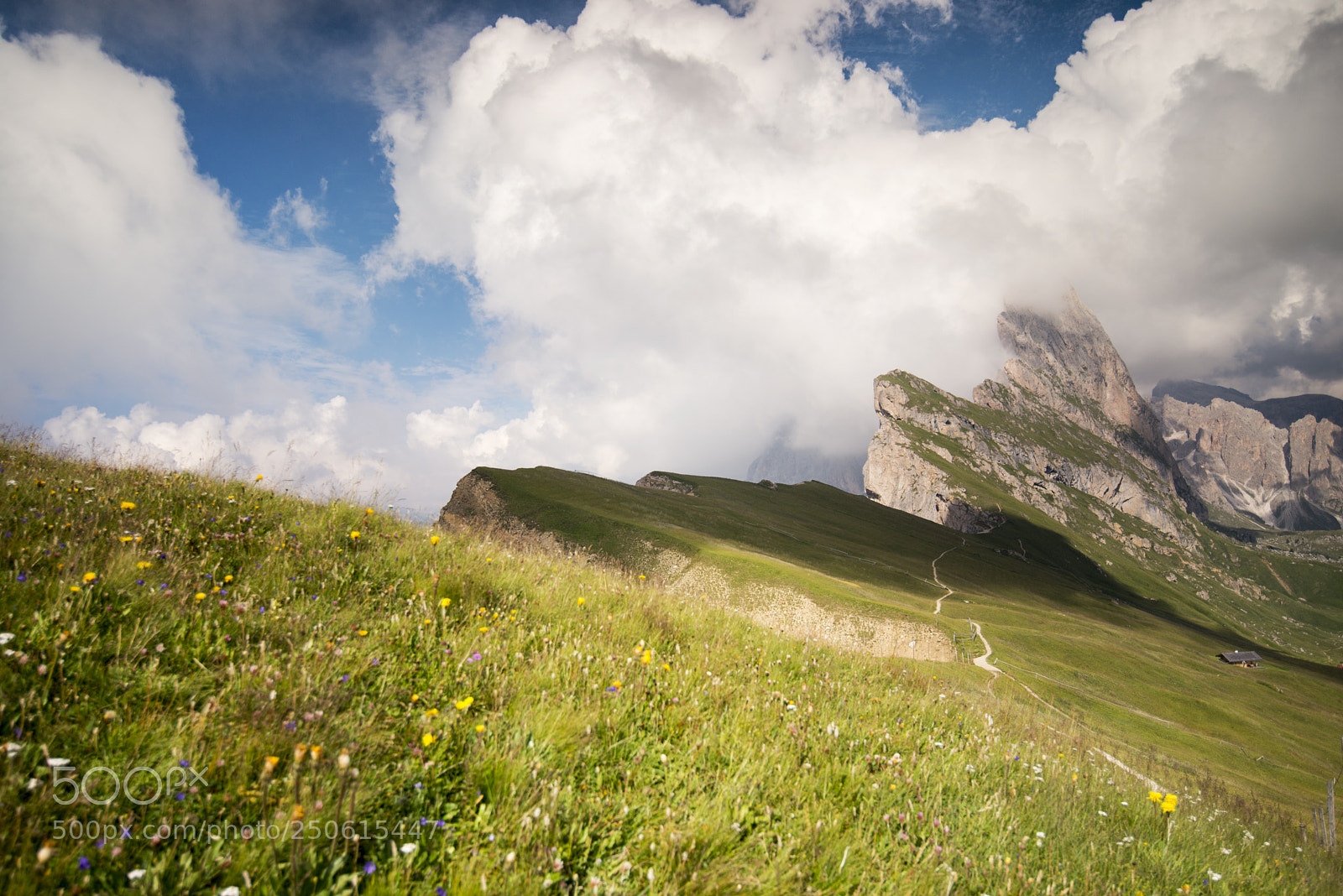 Nikon D600 sample photo. Fermeda walk photography