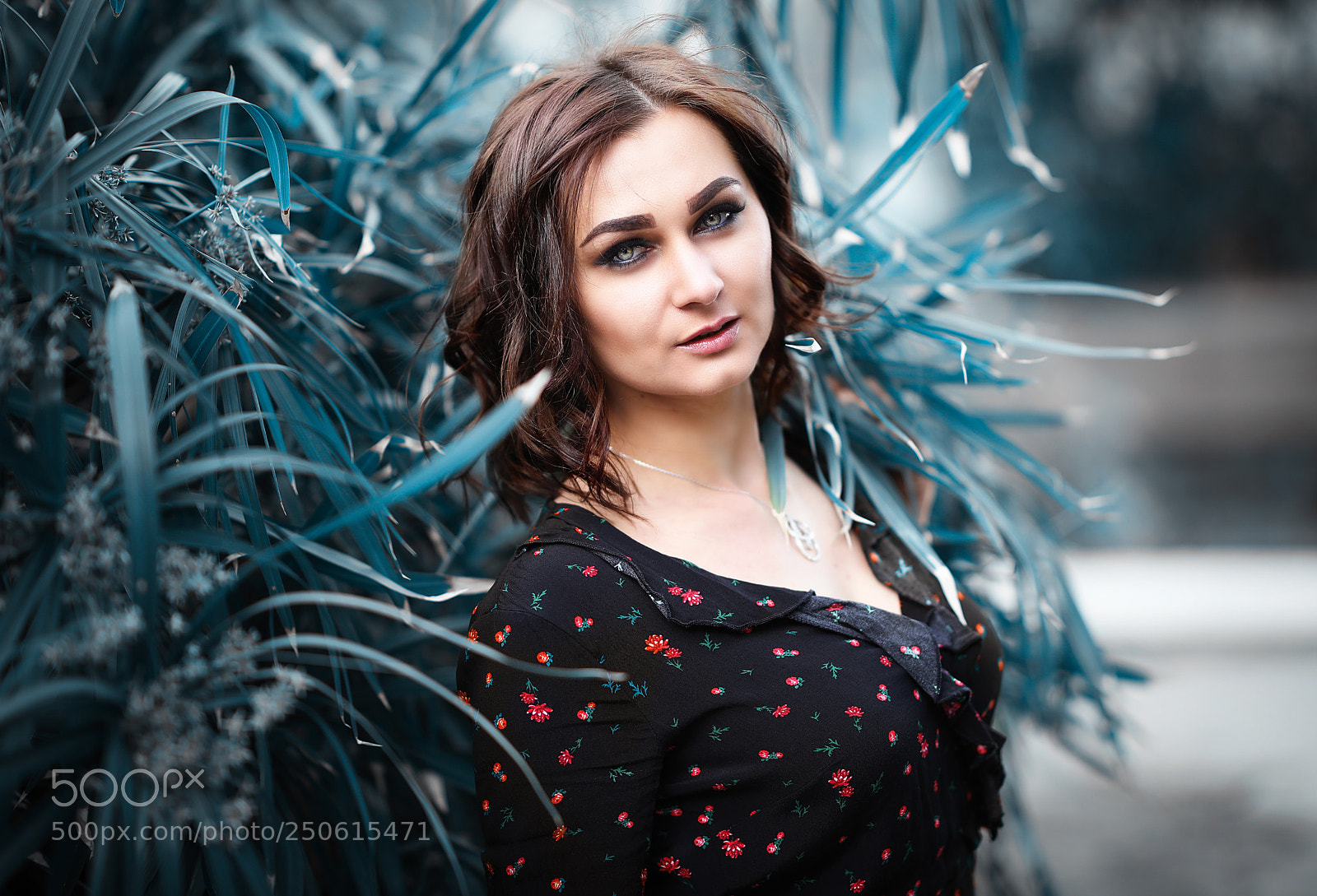 Canon EOS 5D Mark IV sample photo. Blue photography