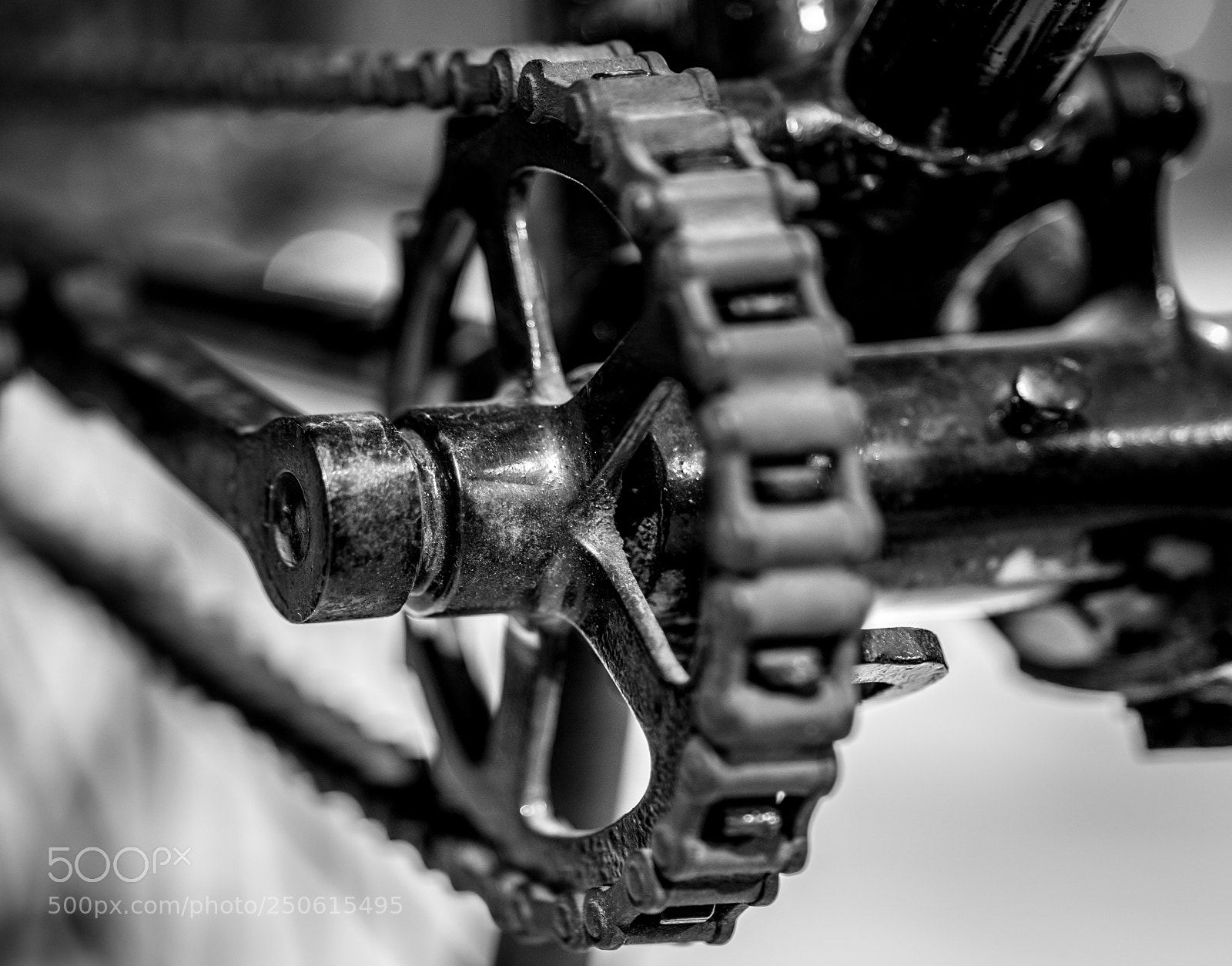 Sony a7 II sample photo. Dsc photography