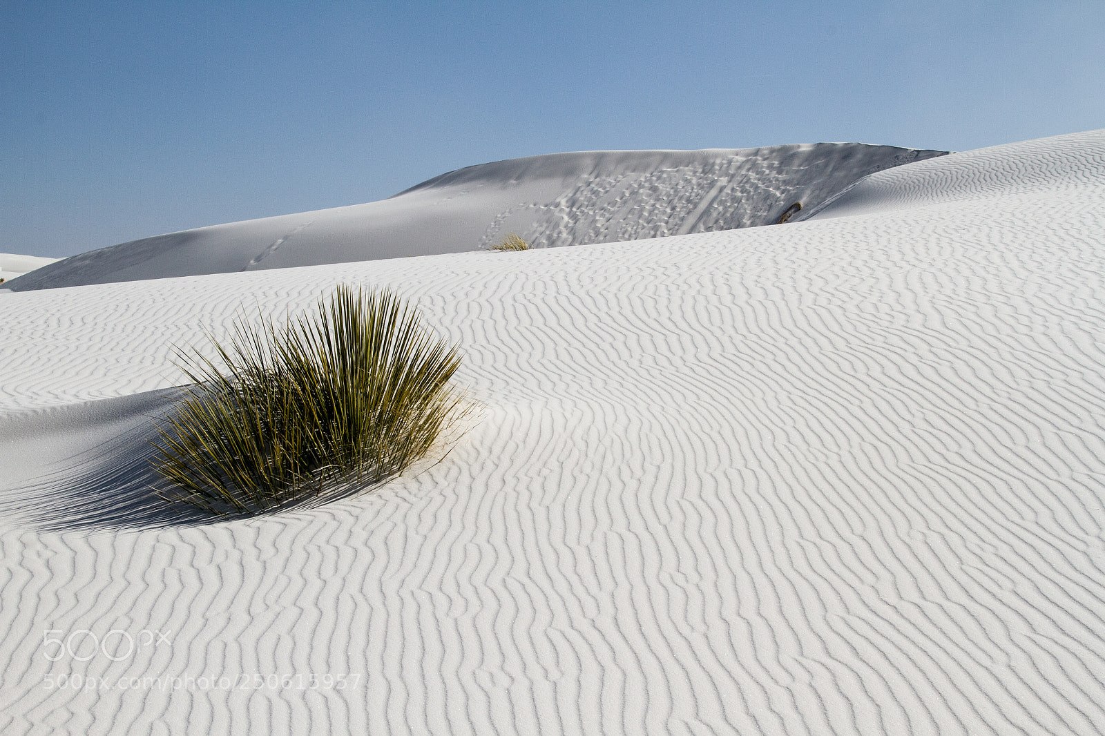 Canon EOS 7D sample photo. White sands photography