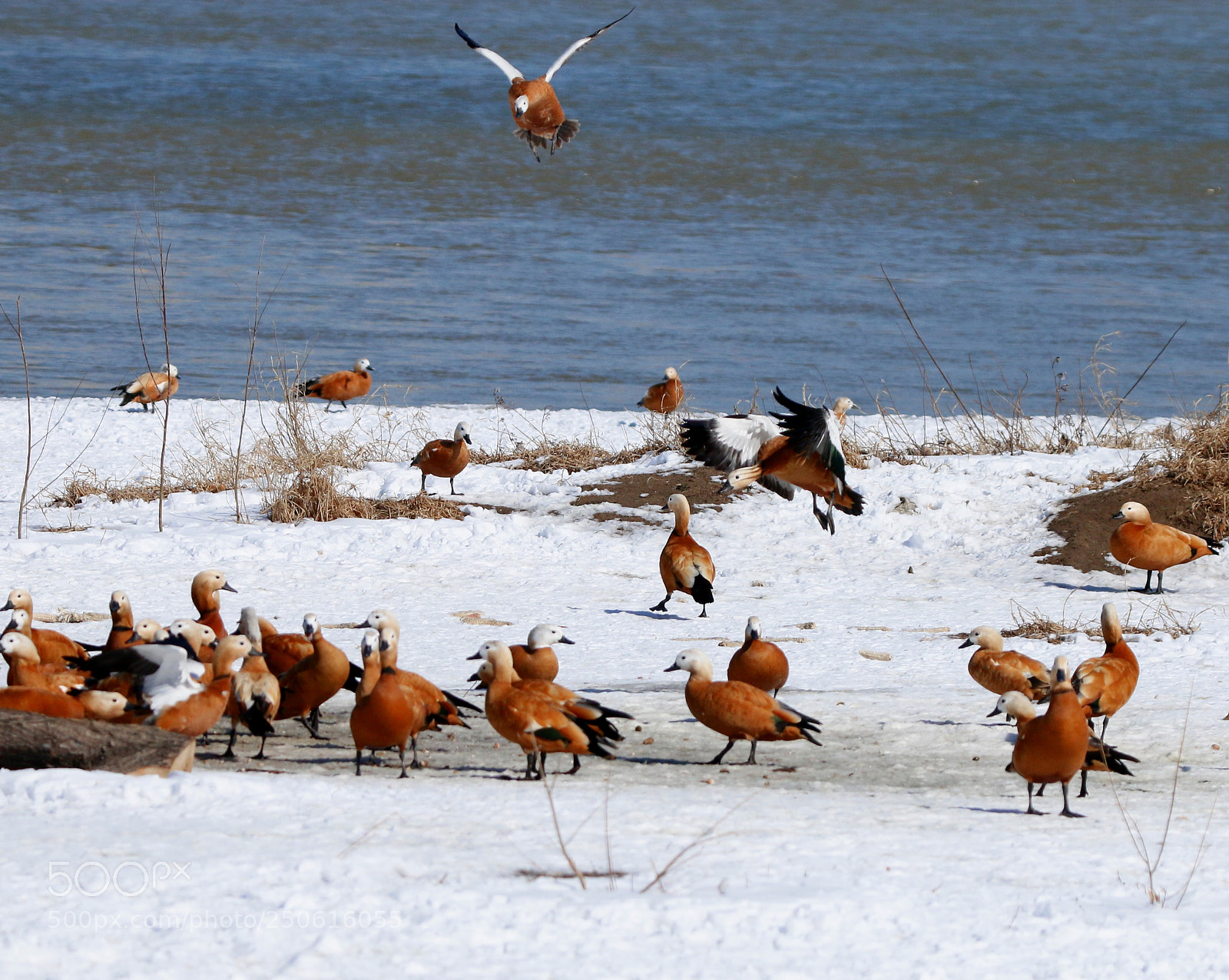 Canon EOS 70D sample photo. Find a family photography