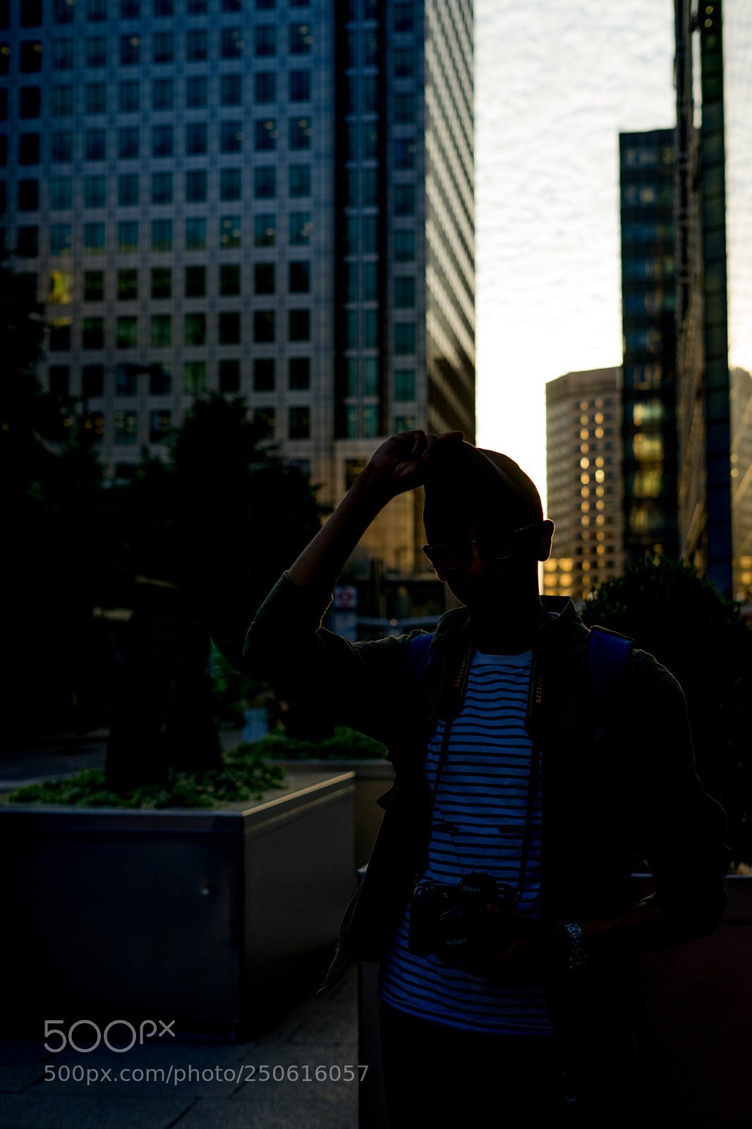 Sony a7 sample photo. Stripey photography