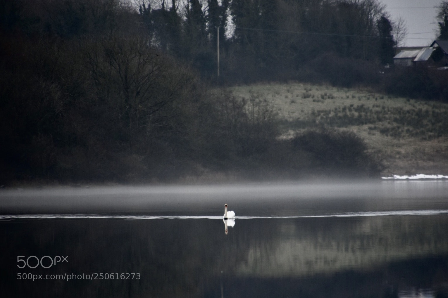 Nikon D7200 sample photo. A swann’s trace photography