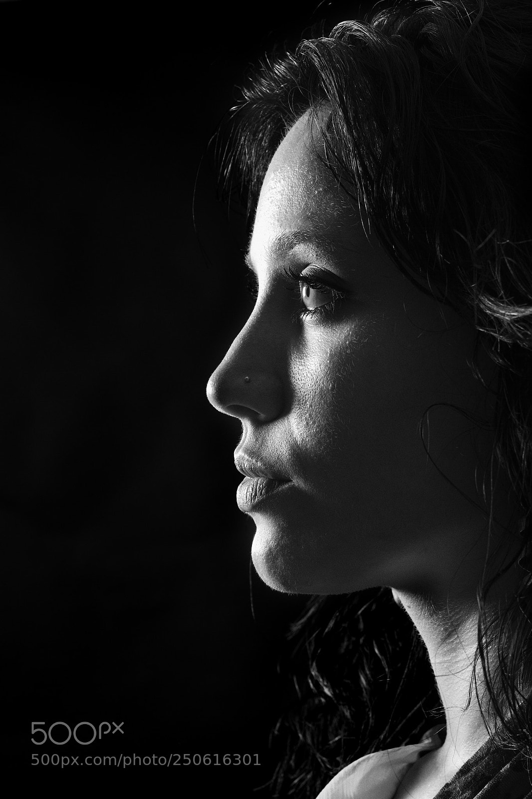 Canon EOS 50D sample photo. Untitled photography