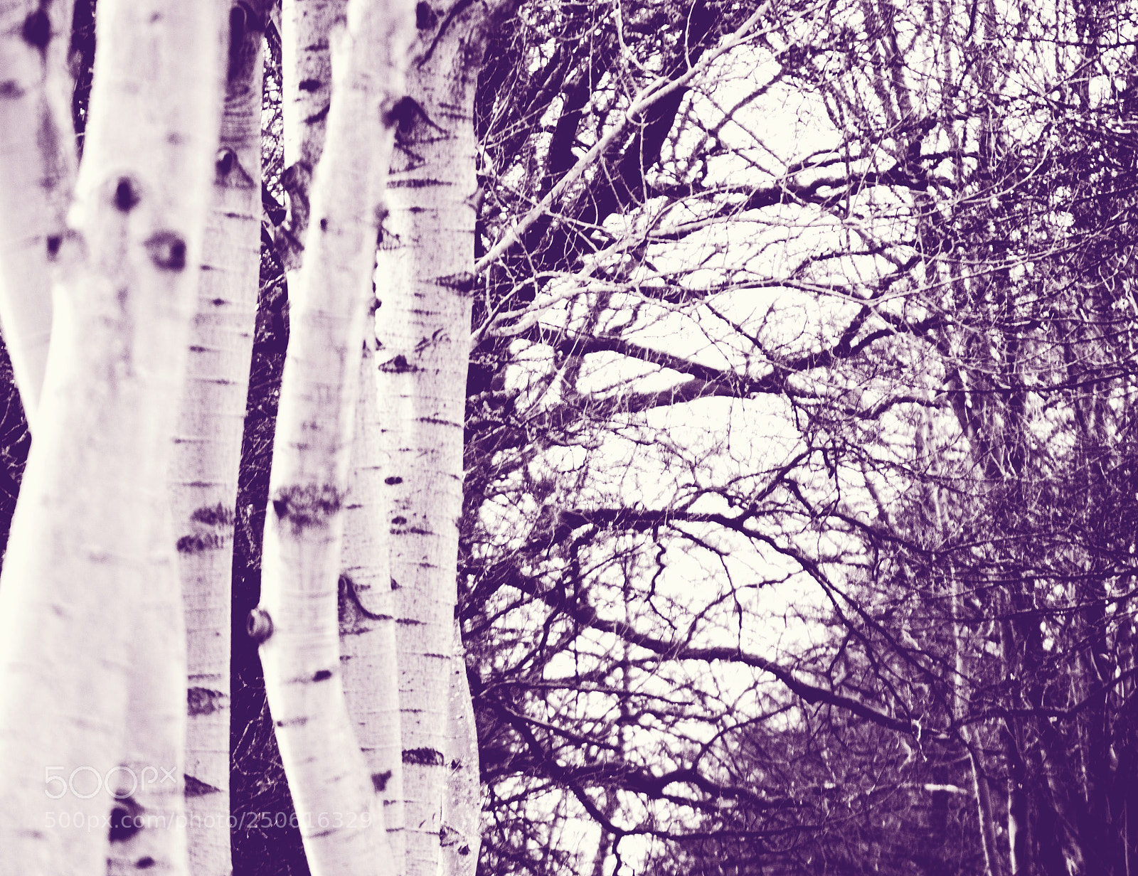 Nikon D5100 sample photo. Two structures photography