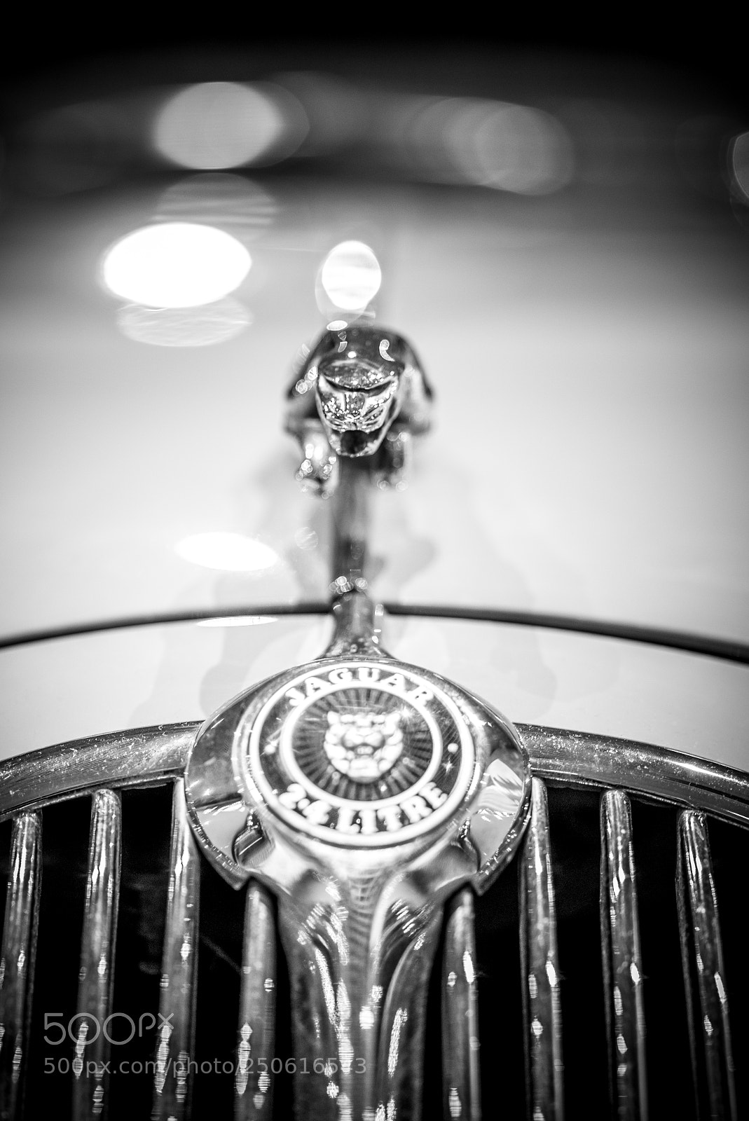 Sony a7 II sample photo. Dsc photography
