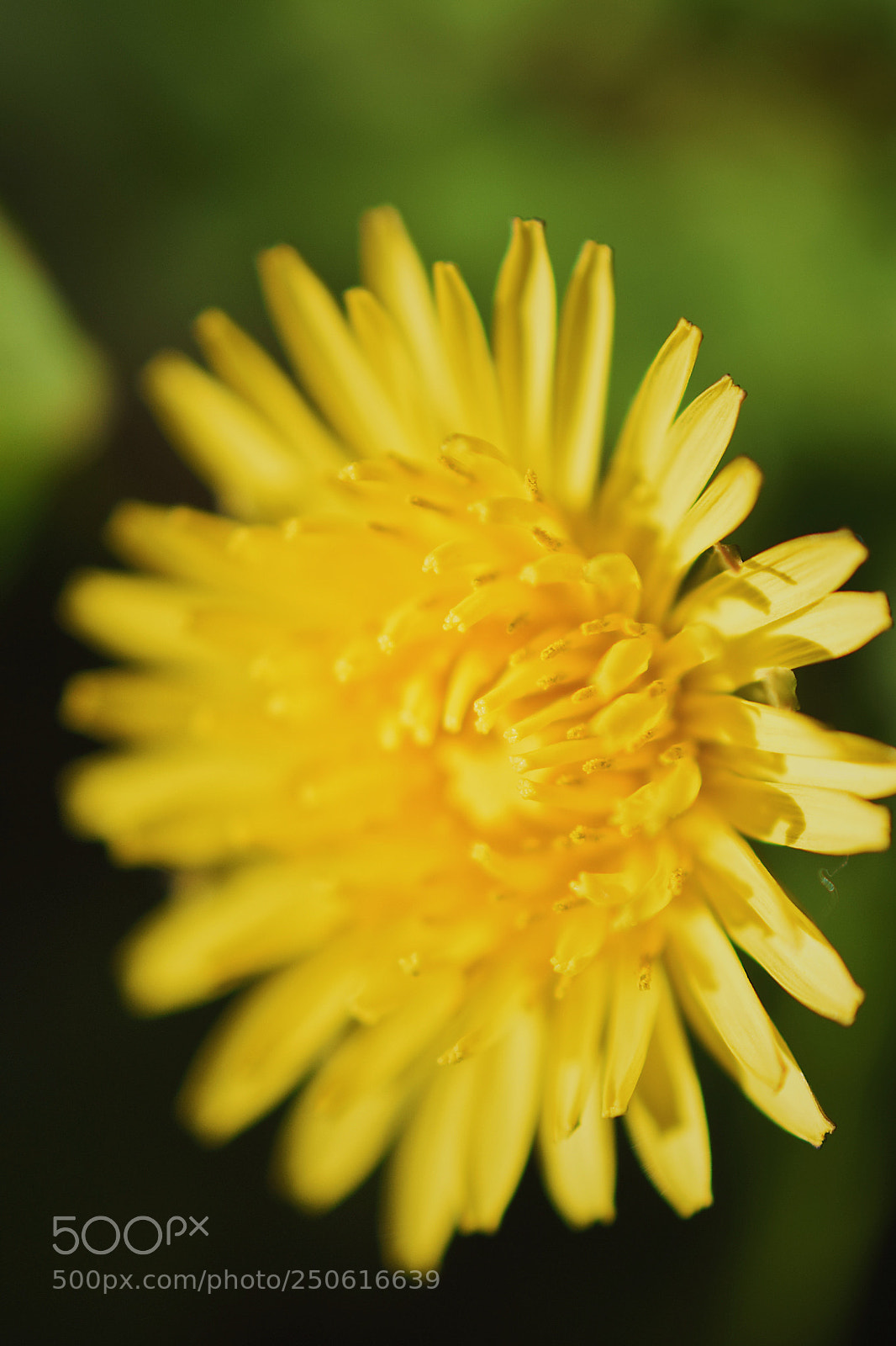 Nikon D3300 sample photo. Cfc bfa aa cbad photography