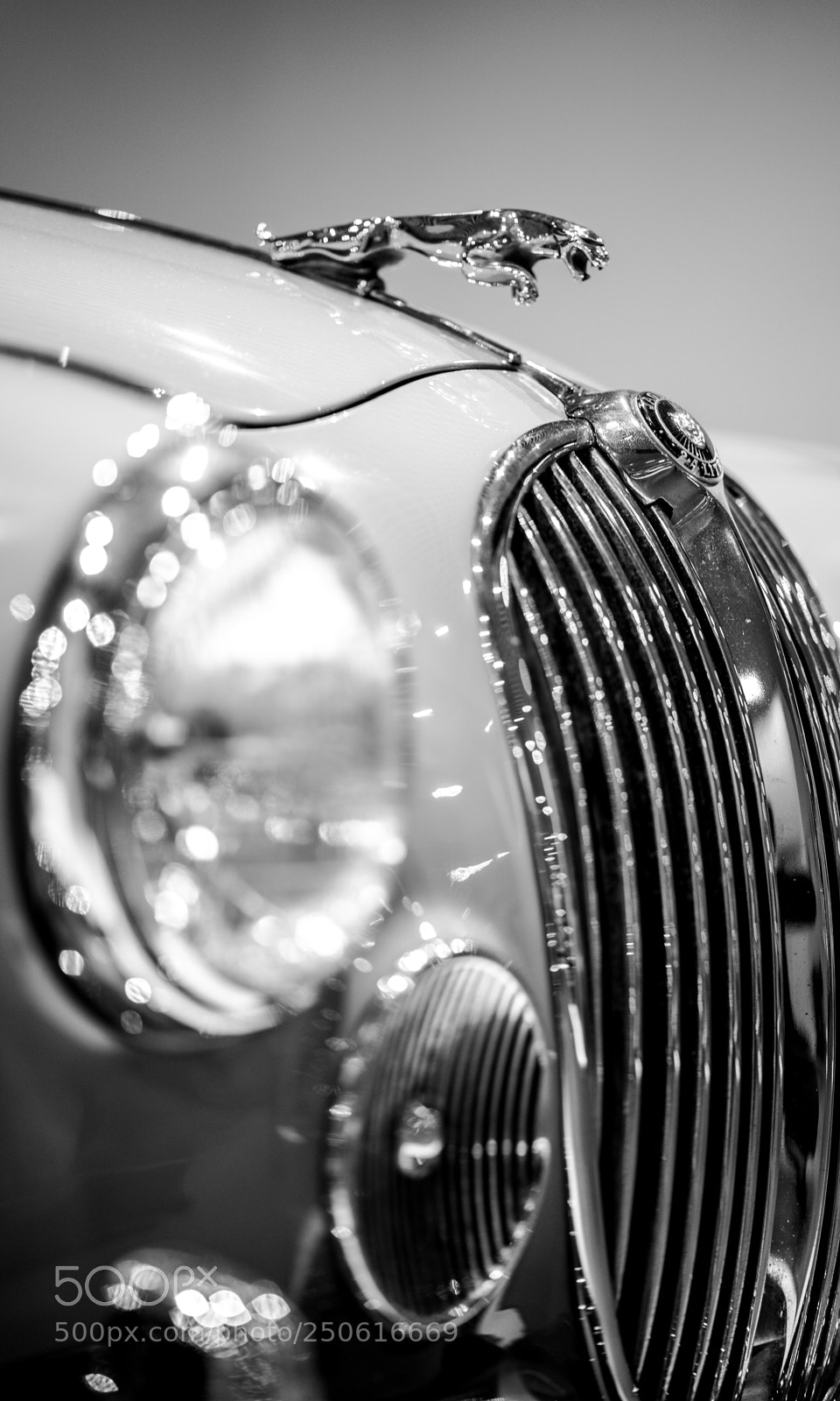 Sony a7 II sample photo. Dsc photography