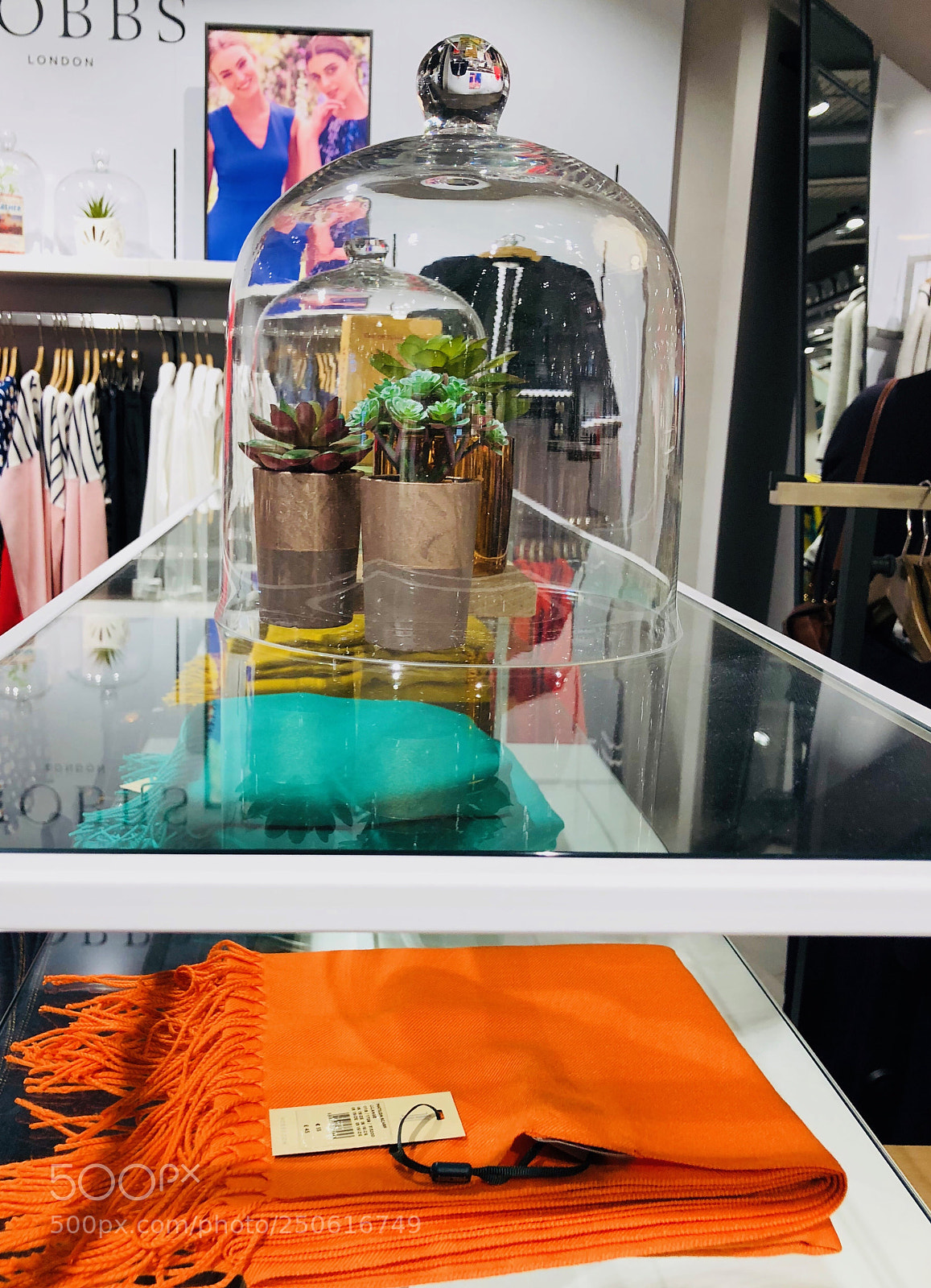 Apple iPhone X sample photo. Untitled photography
