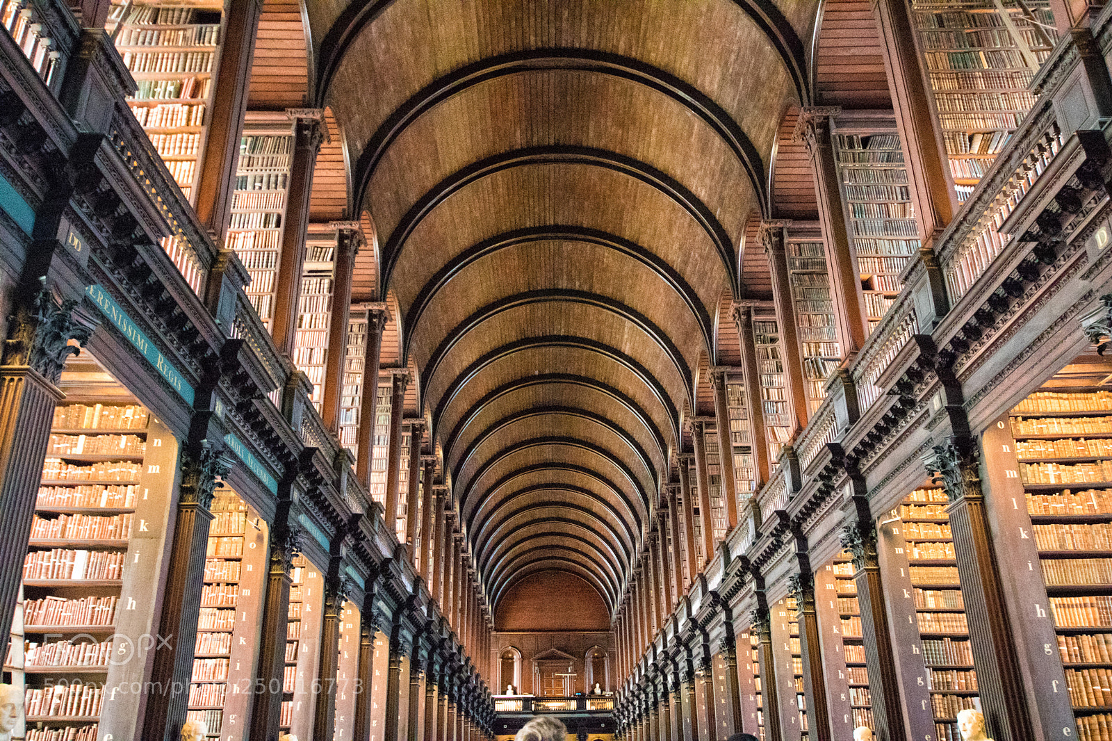 Canon EOS 760D (EOS Rebel T6s / EOS 8000D) sample photo. Trinity college library photography
