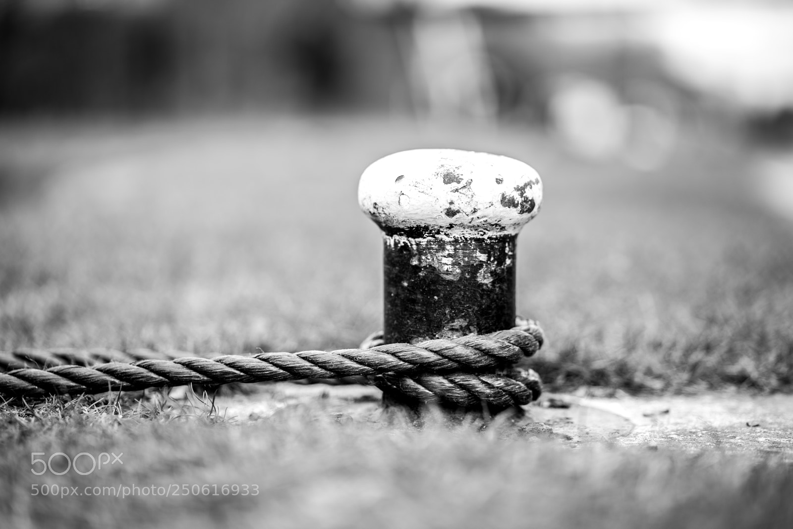 Sony a7 II sample photo. Dsc photography