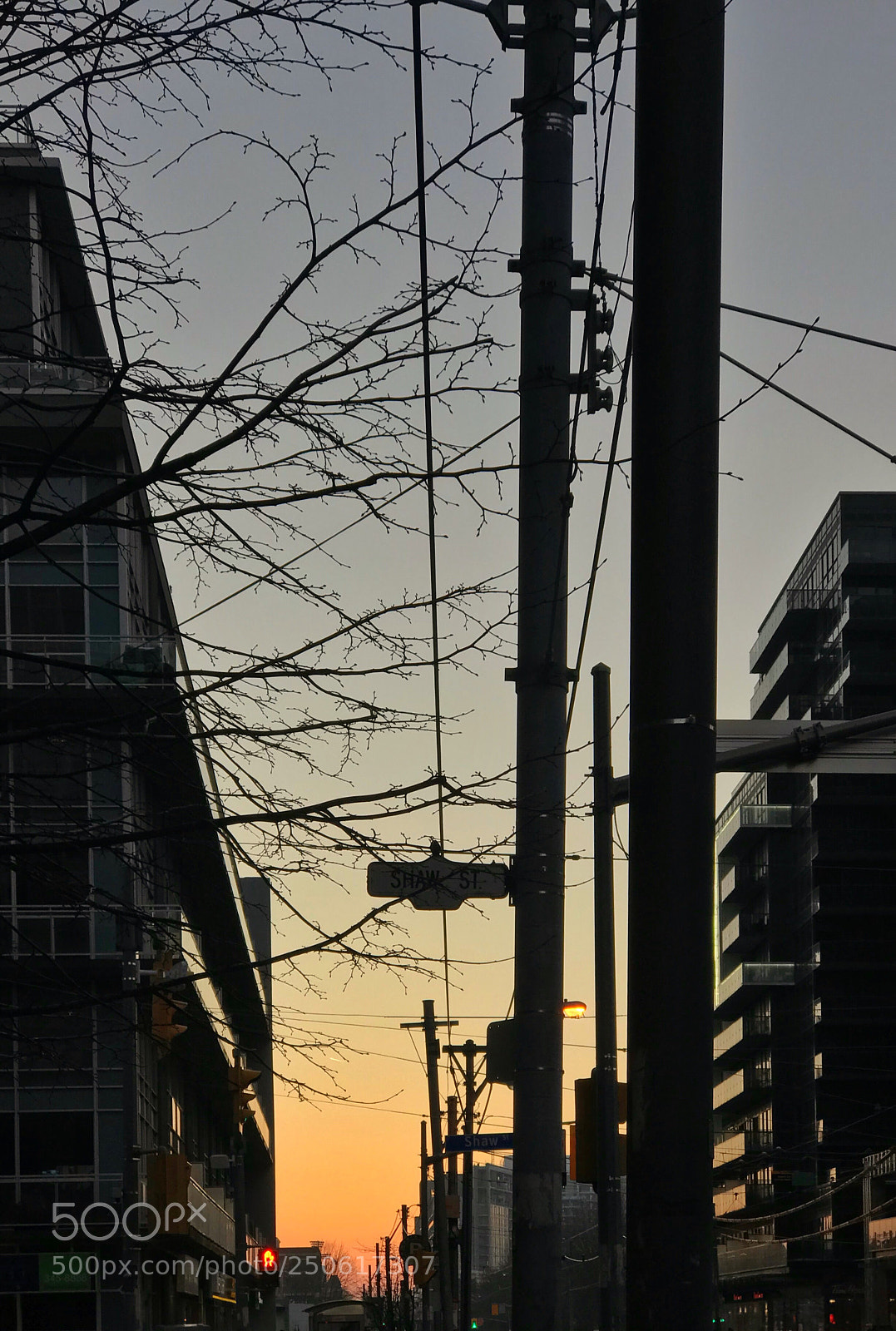 Apple iPhone 7 Plus sample photo. Untitled photography