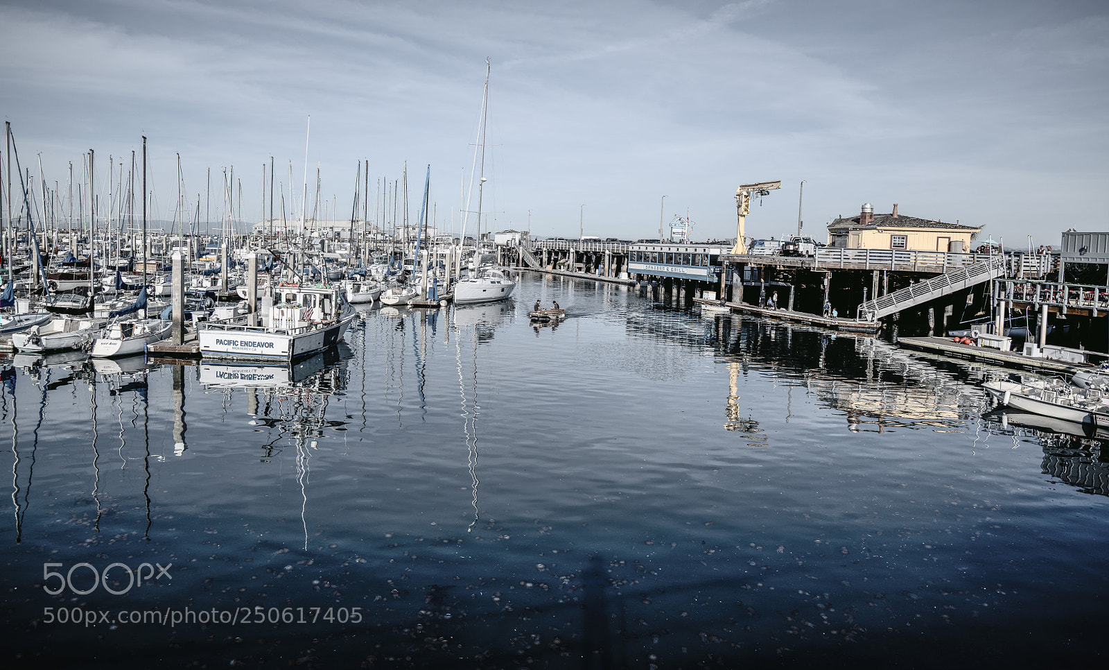 Nikon D850 sample photo. Monterey marina photography