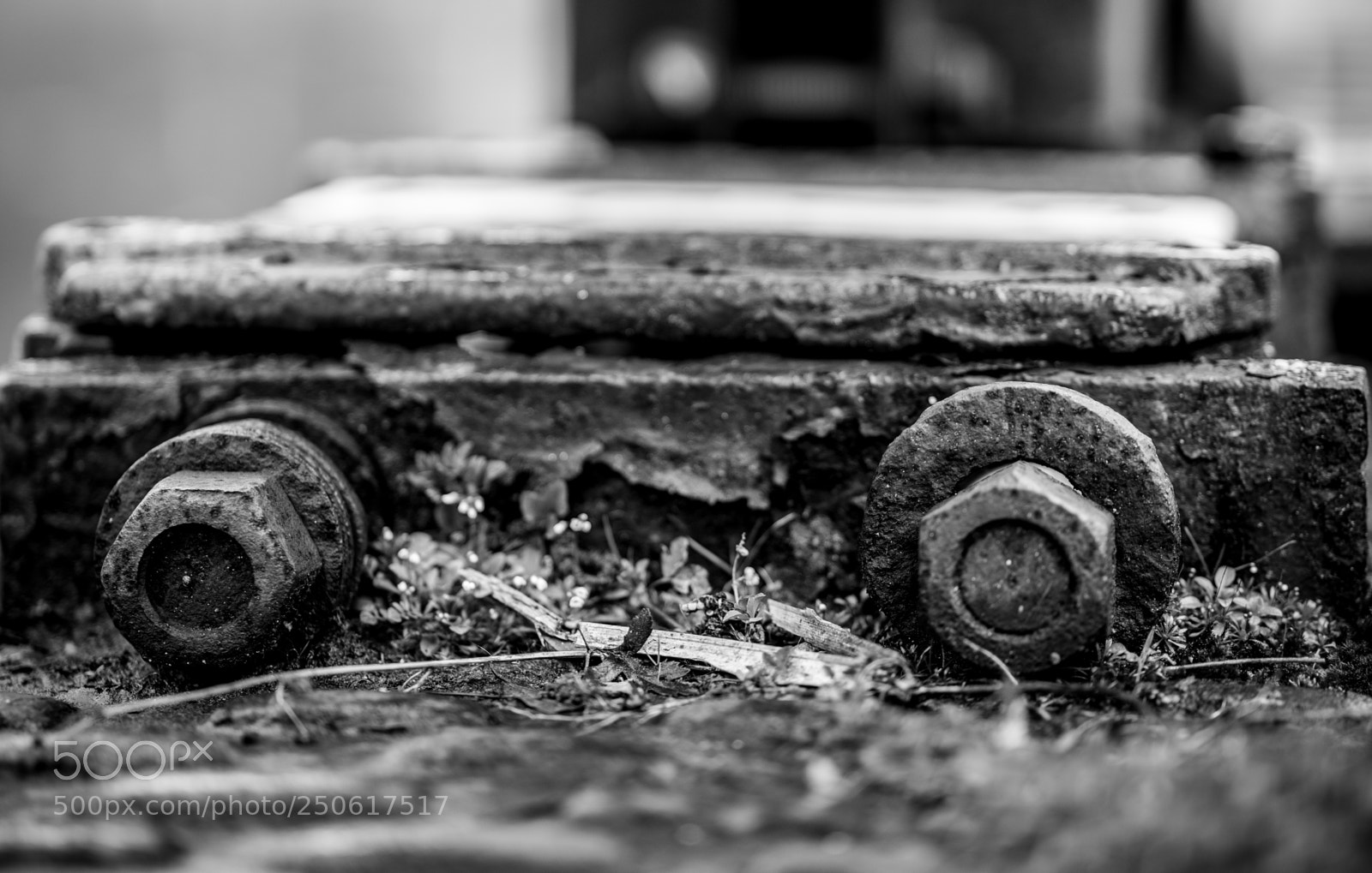 Sony a7 II sample photo. Dsc photography