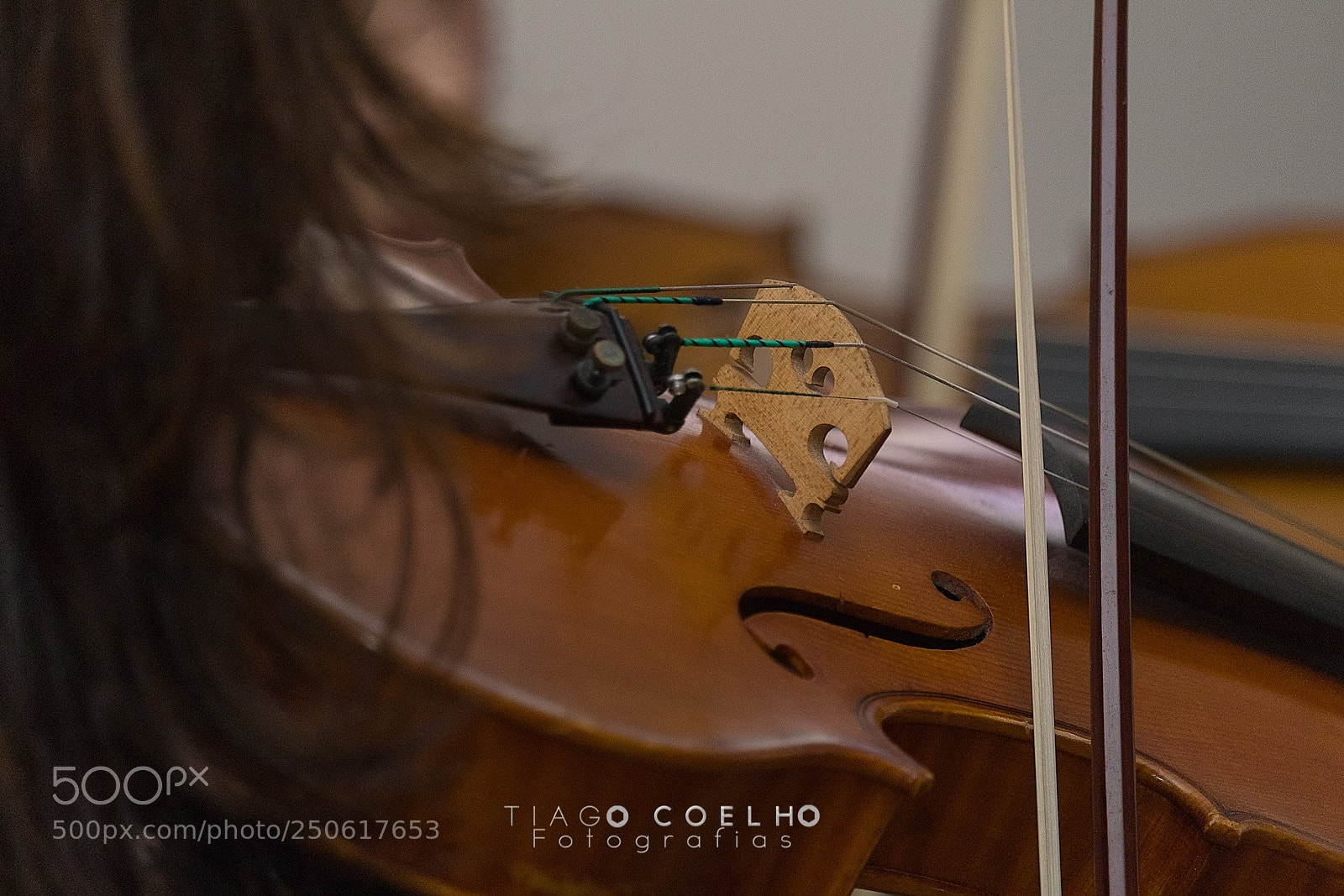 Canon EOS 80D sample photo. Untitled photography