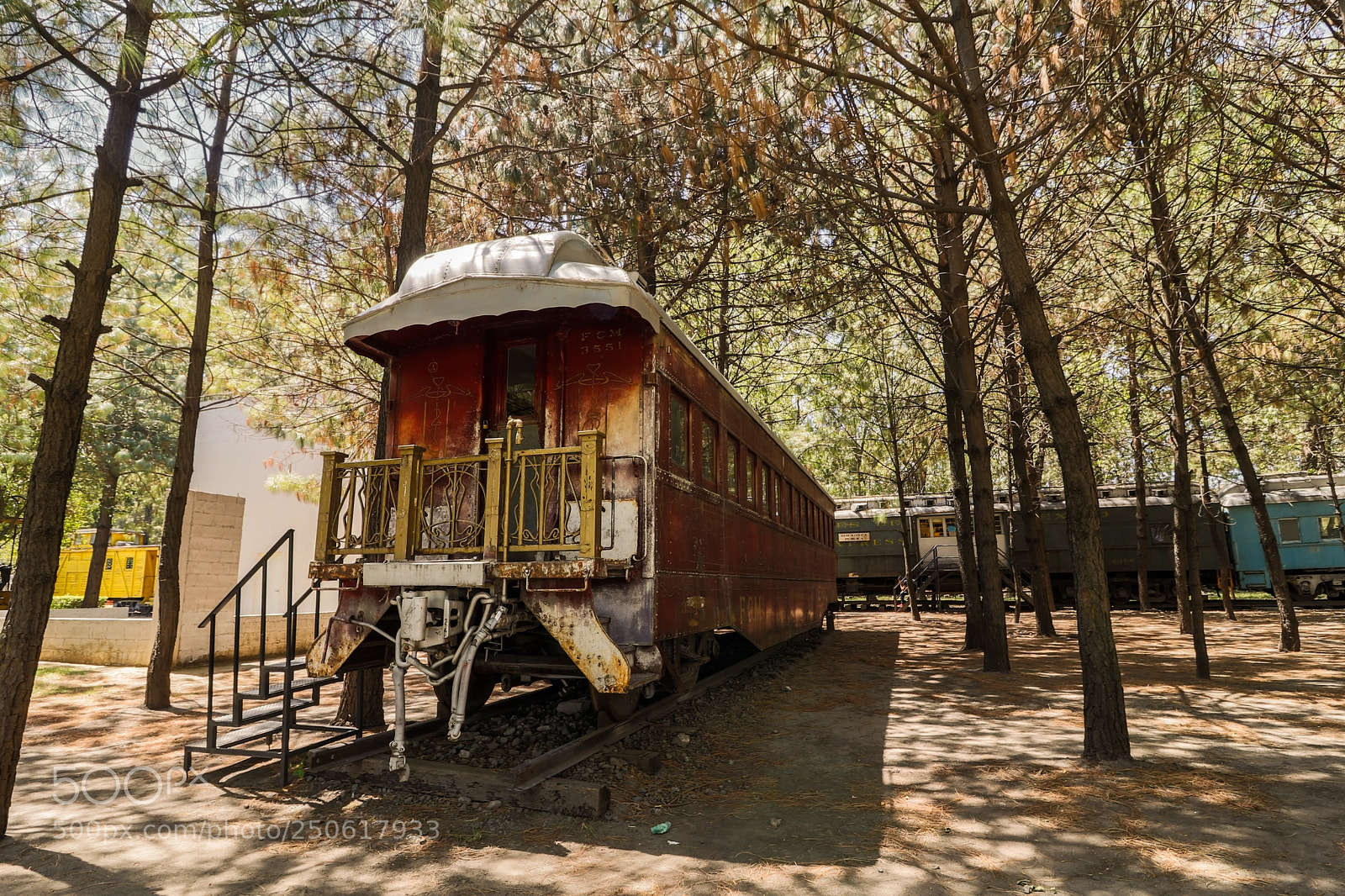 Canon EOS 80D sample photo. En el bosque photography