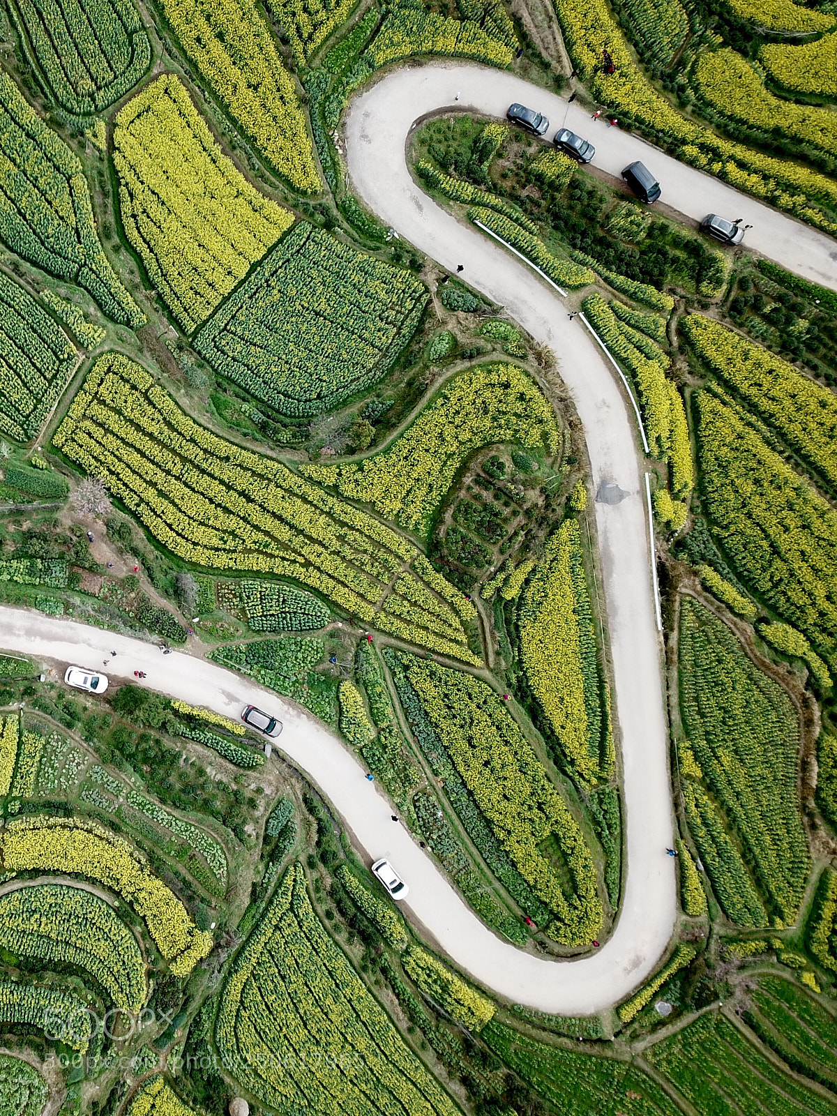 DJI FC220 sample photo. 上帝视角 photography