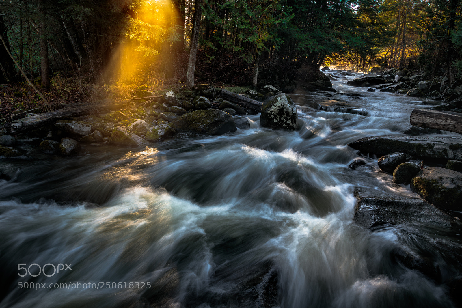 Canon EOS 5D Mark IV sample photo. Autumn mountain stream photography